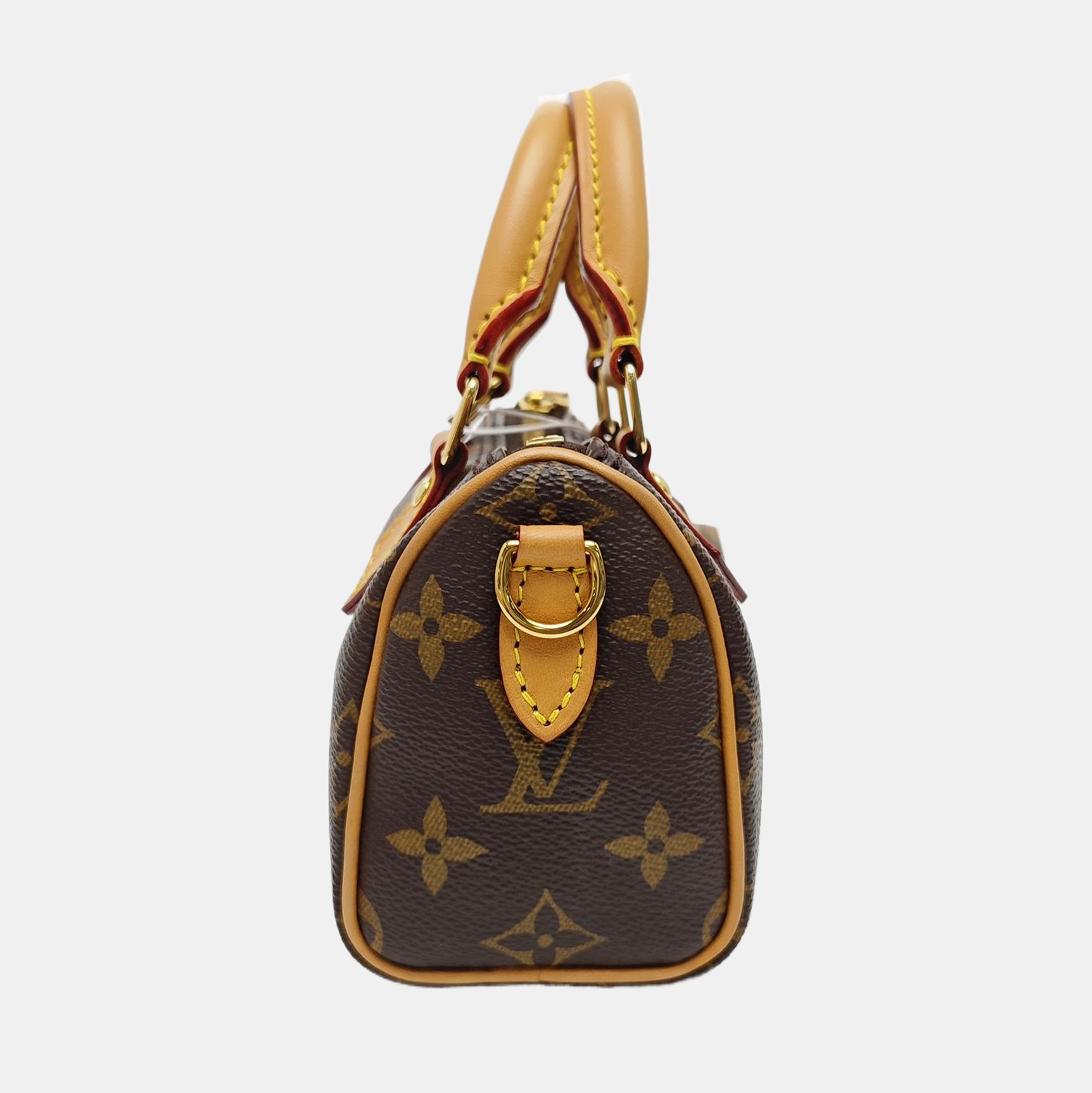 SPEEDY Nano Monogram Coated Canvas Brown