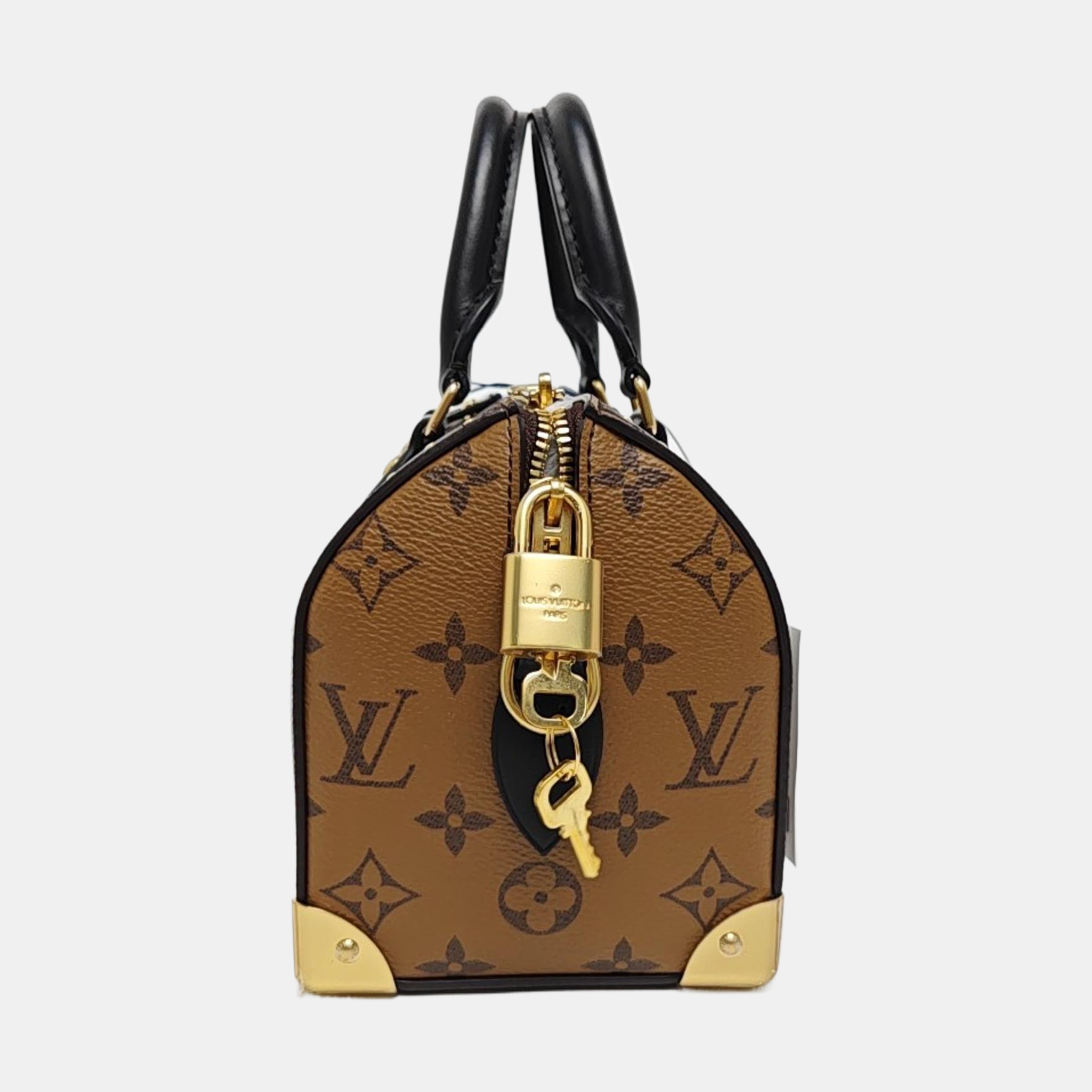SPEEDY TRUNK 20 Monogram Coated Canvas Brown