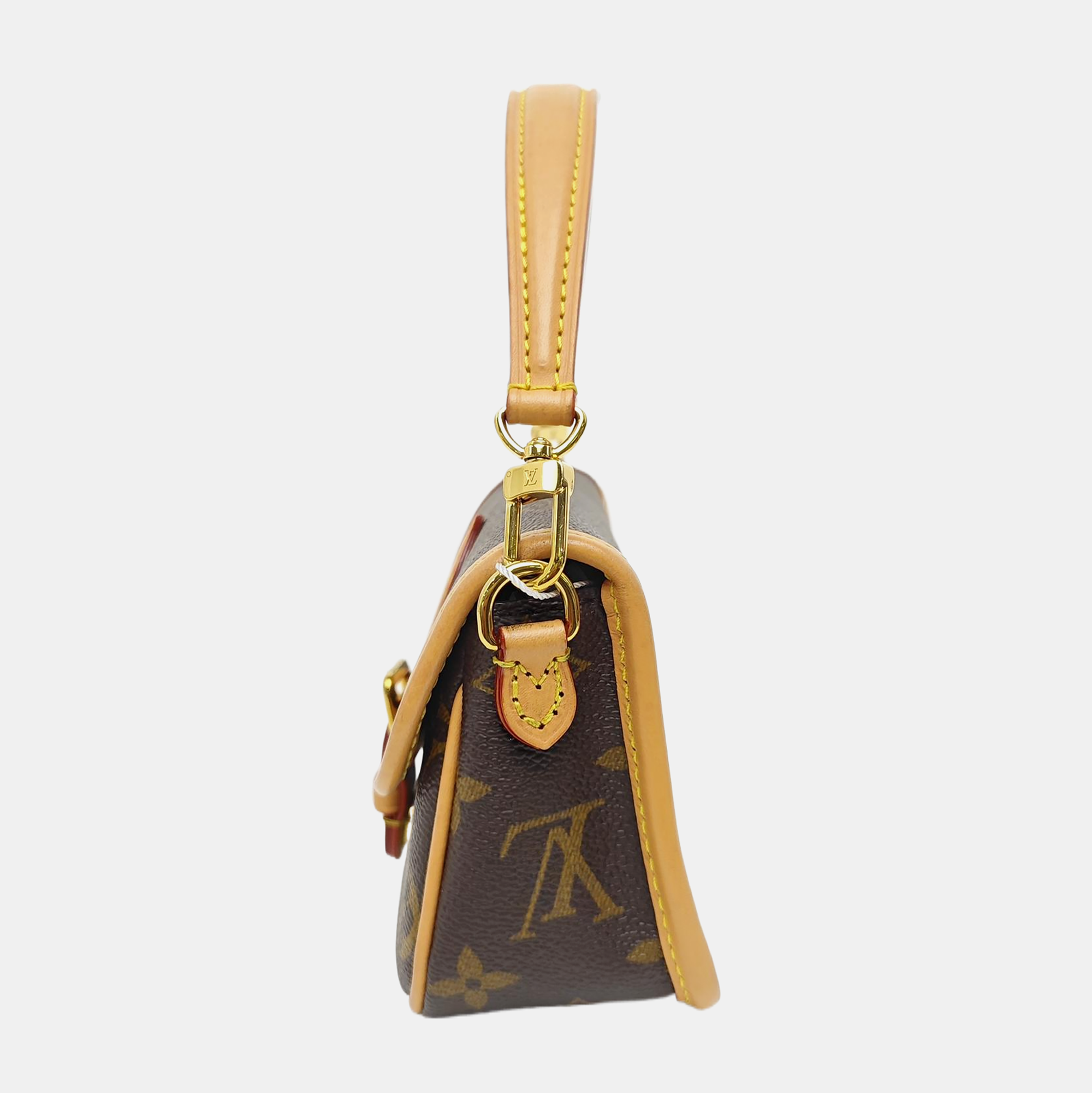 DIANE Nano Monogram Coated Canvas Brown