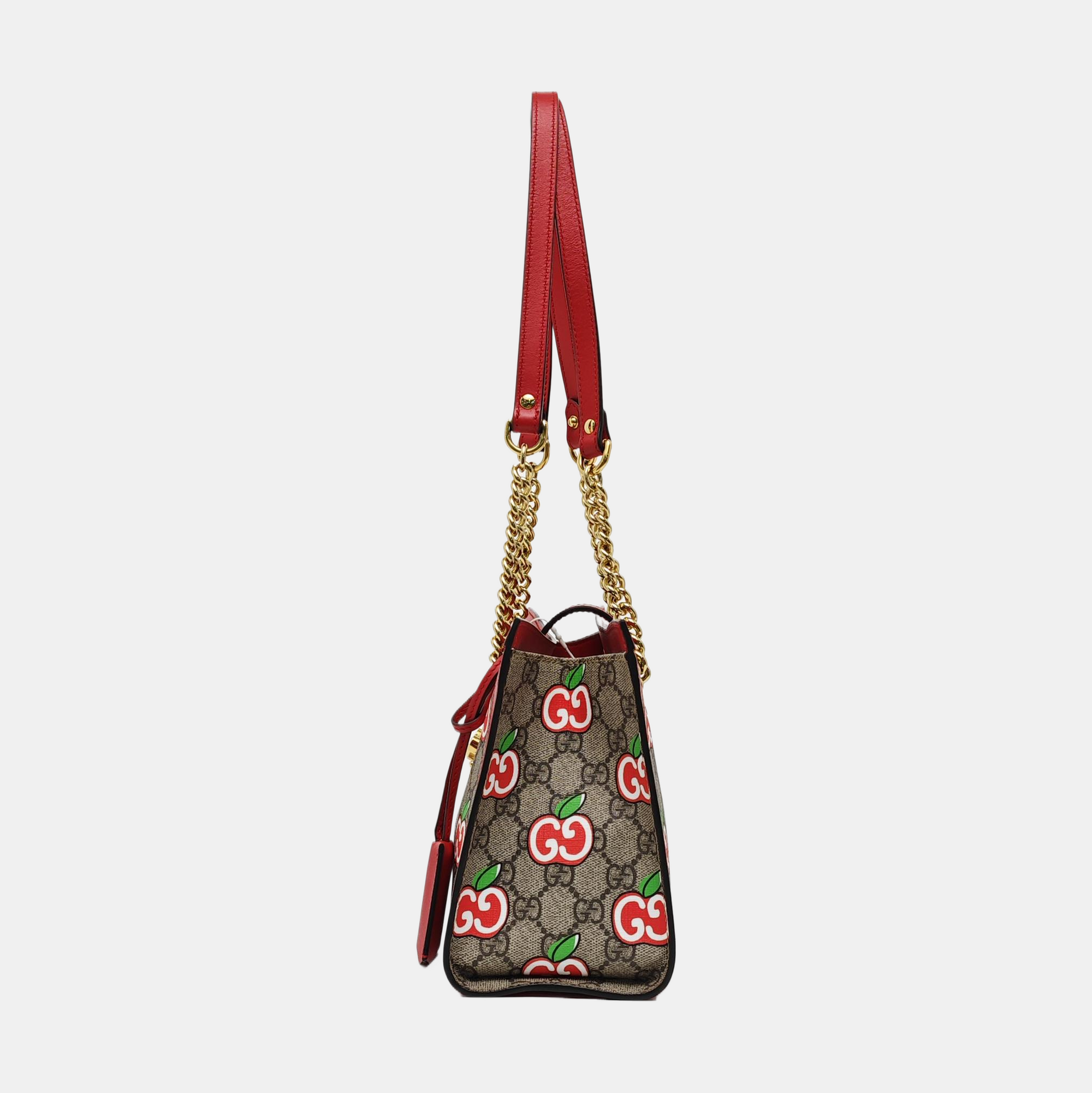 Padlock Small Monogram Coated Canvas Multicolor