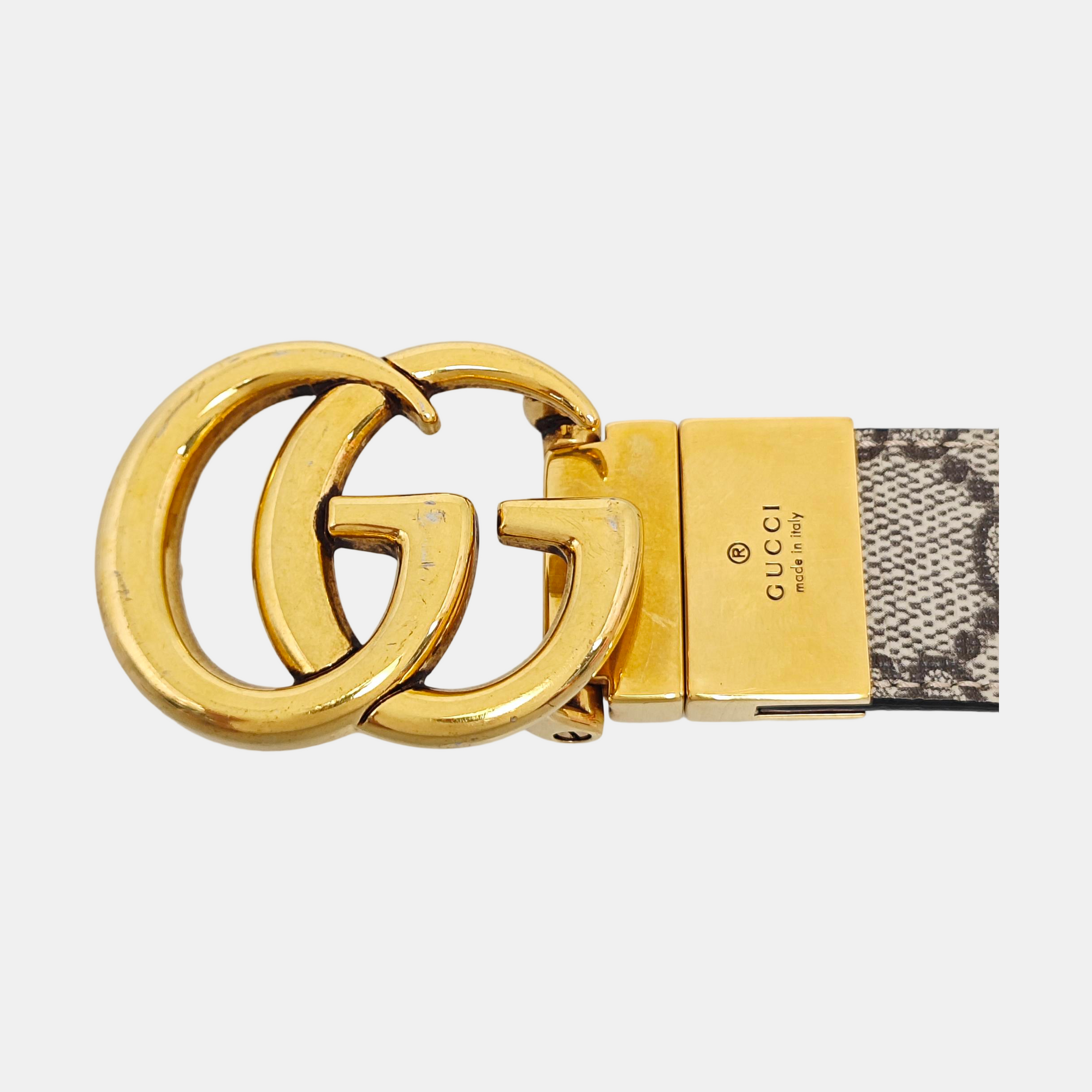 Coated Canvas Belt Brown