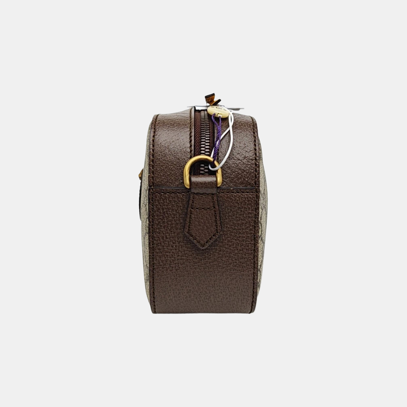Neo Vintage Monogram Coated Canvas Beige