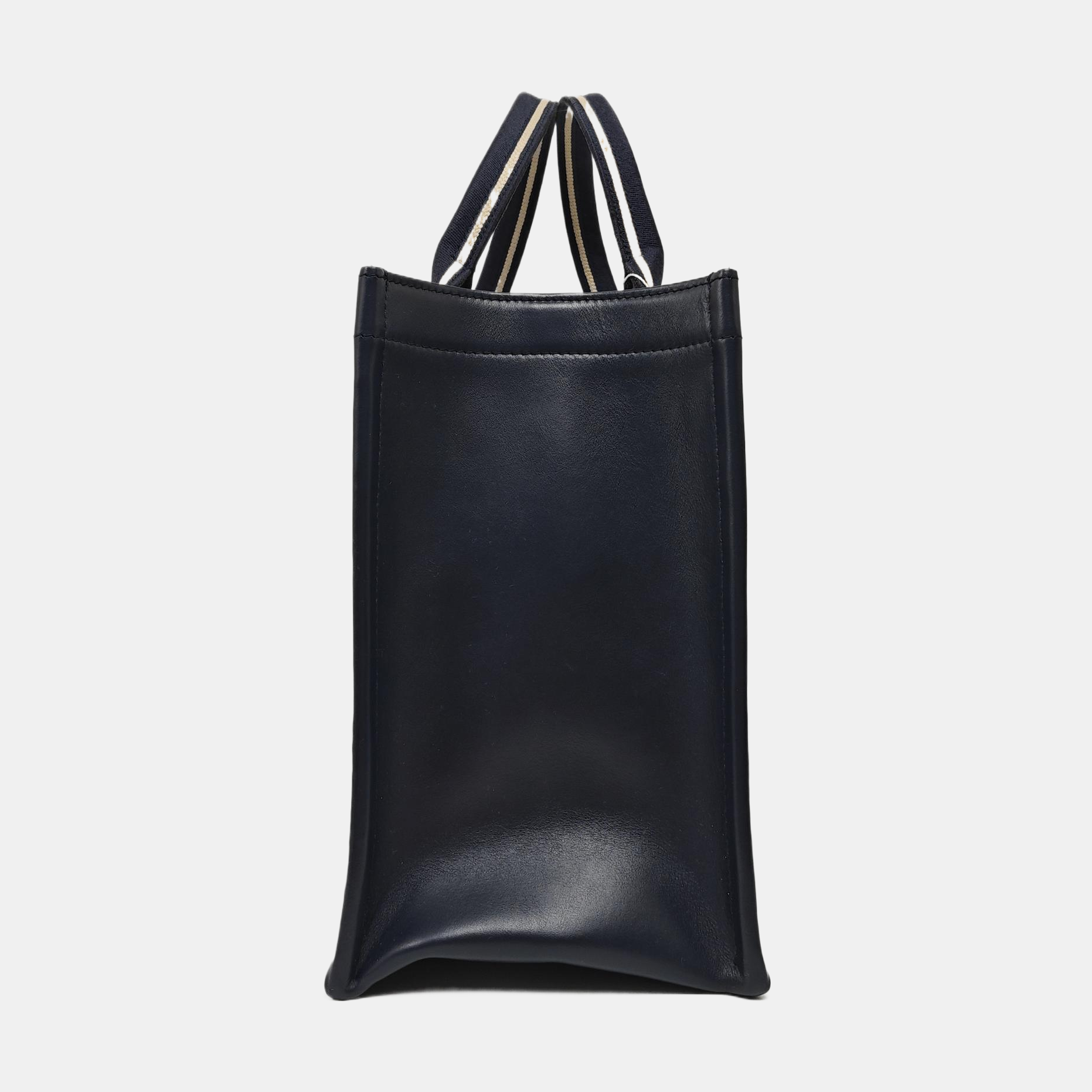Book Tote Medium Oblique Canvas Blue