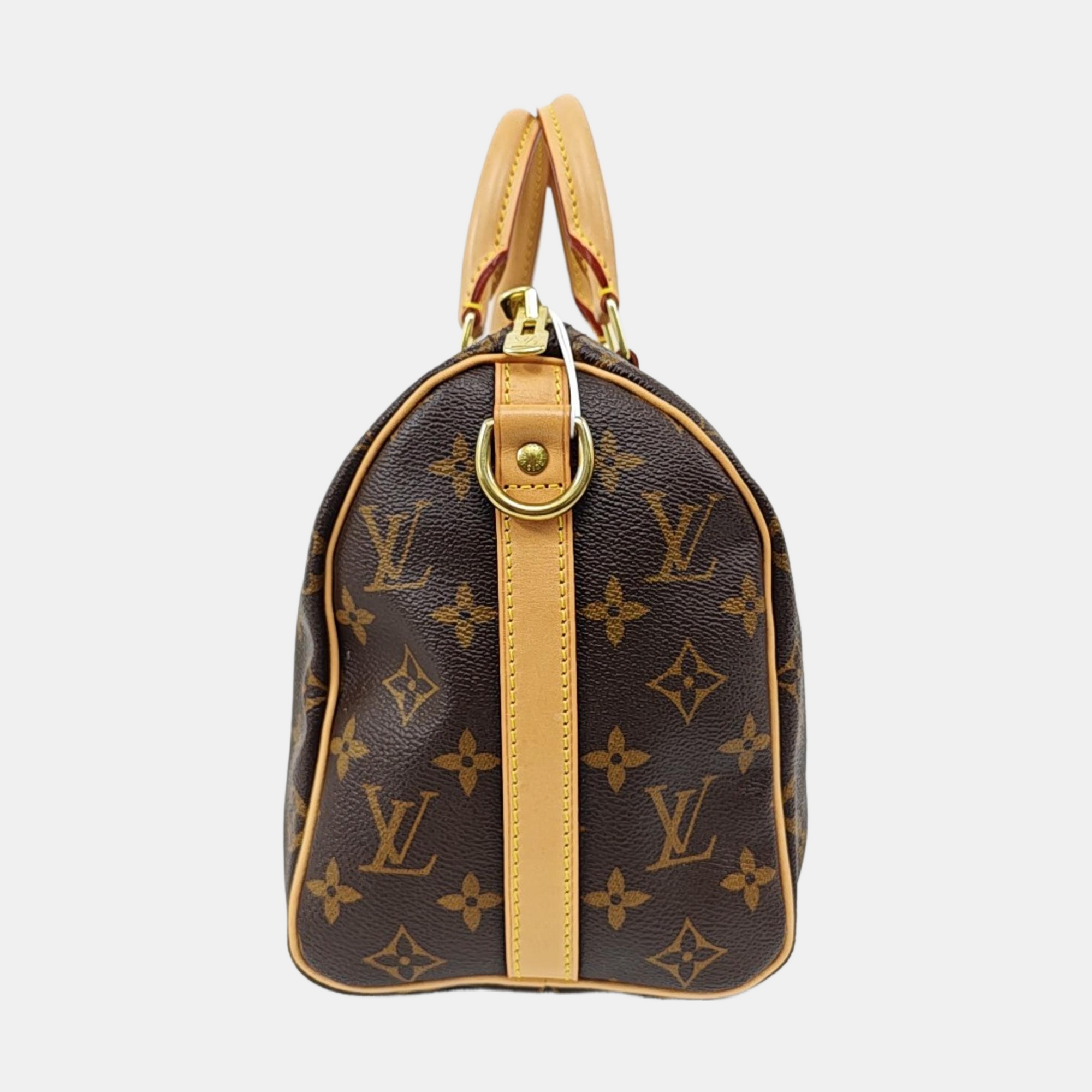 SPEEDY 25 Monogram Coated Canvas Brown