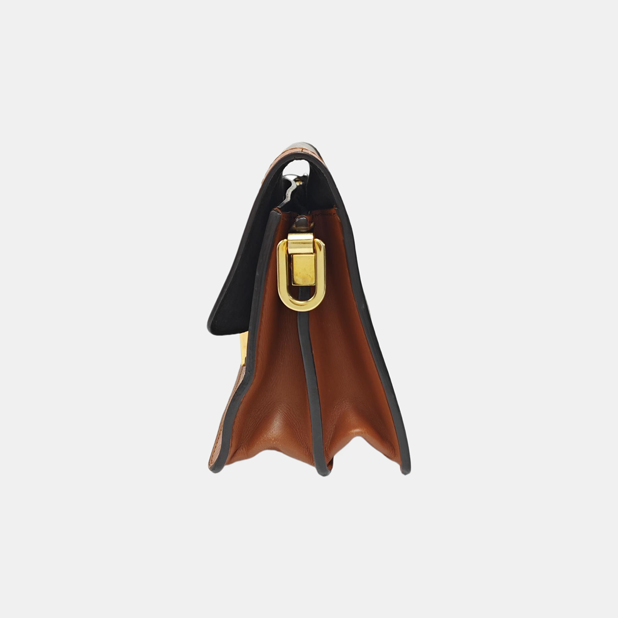 DAUPHINE Mini Monogram Coated Canvas Brown