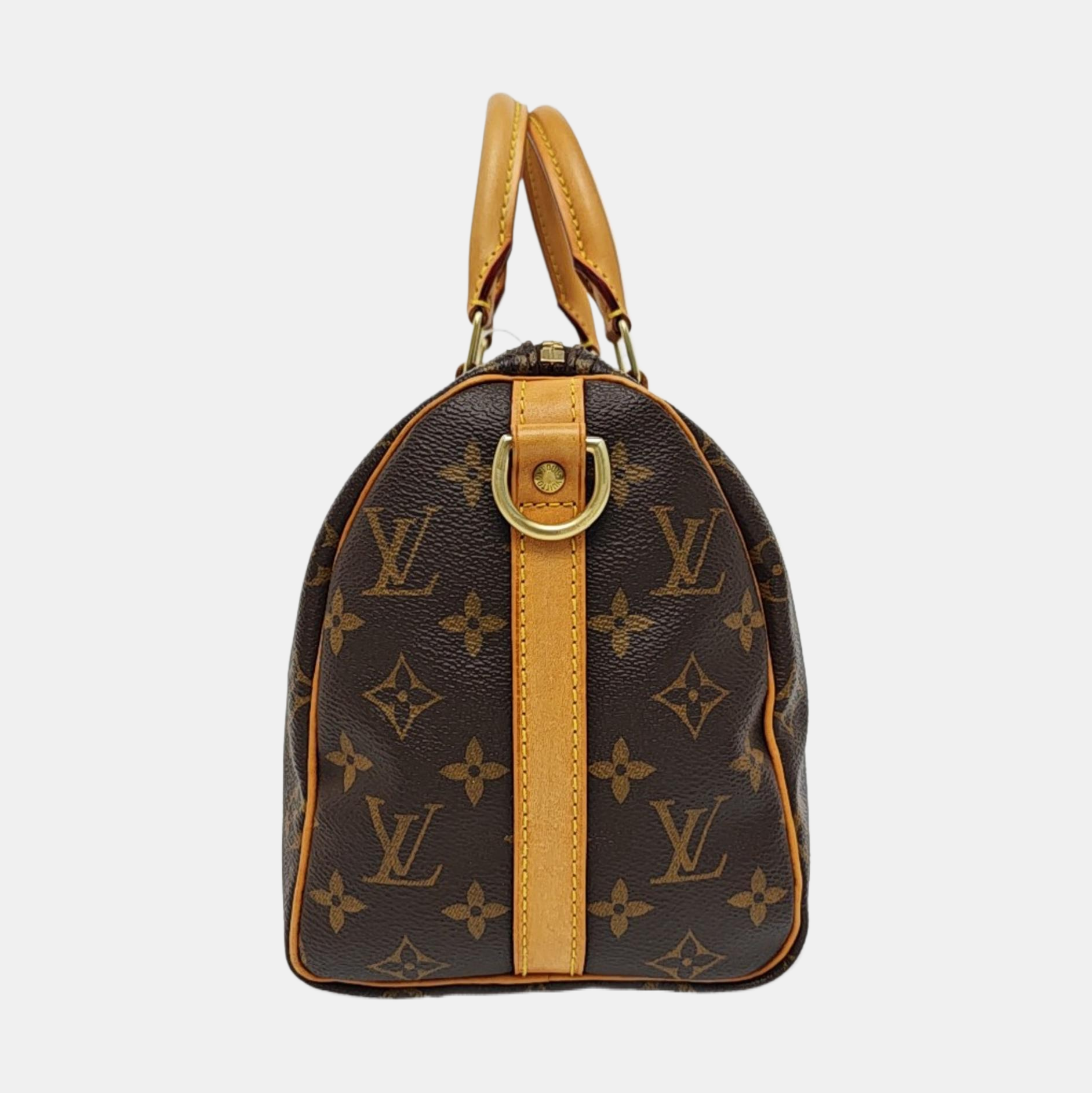 SPEEDY 25 Monogram Coated Canvas Brown