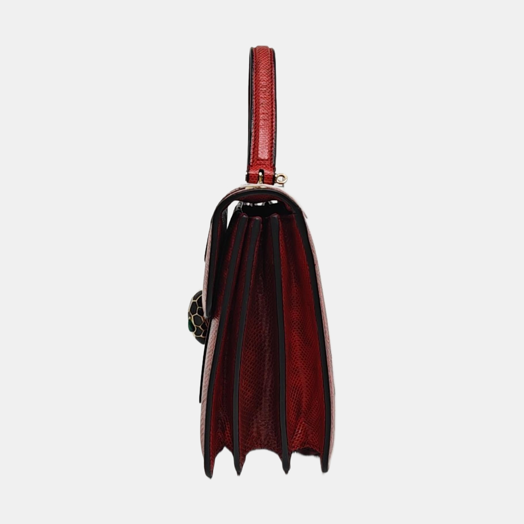 SERPENTI FOREVER Python Red