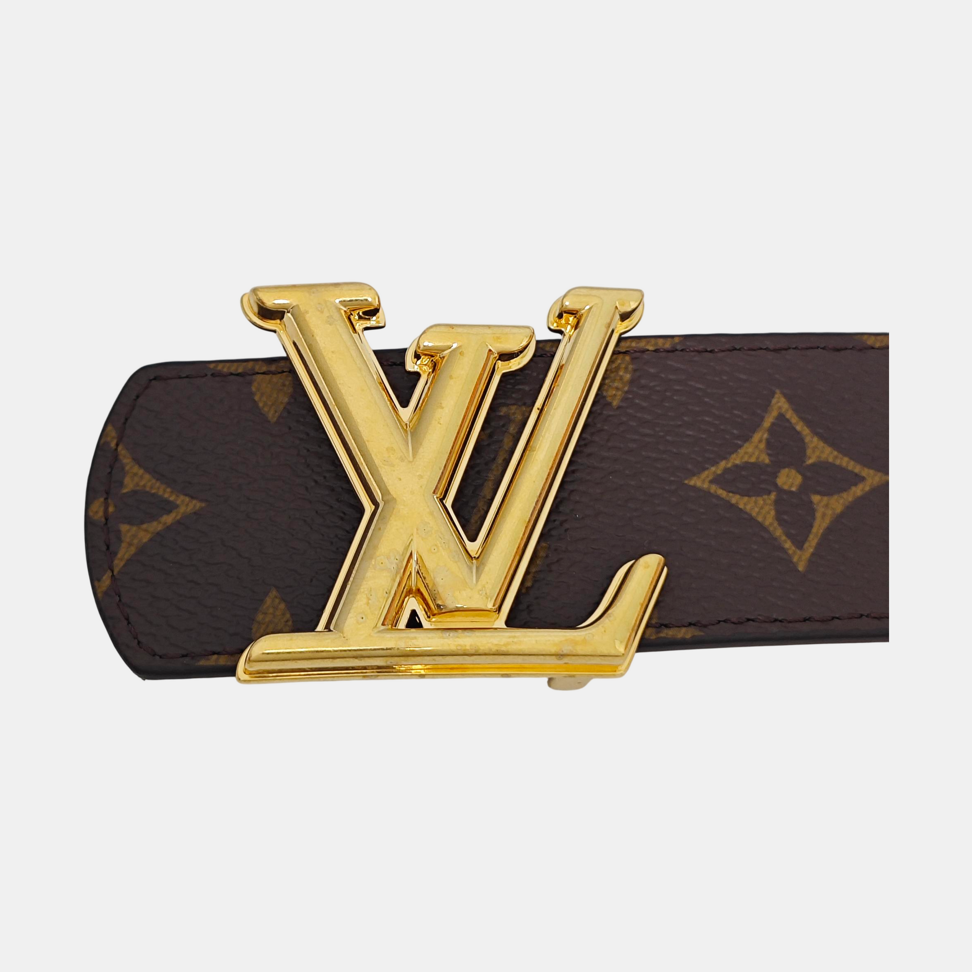 Coated Canvas Belt Brown