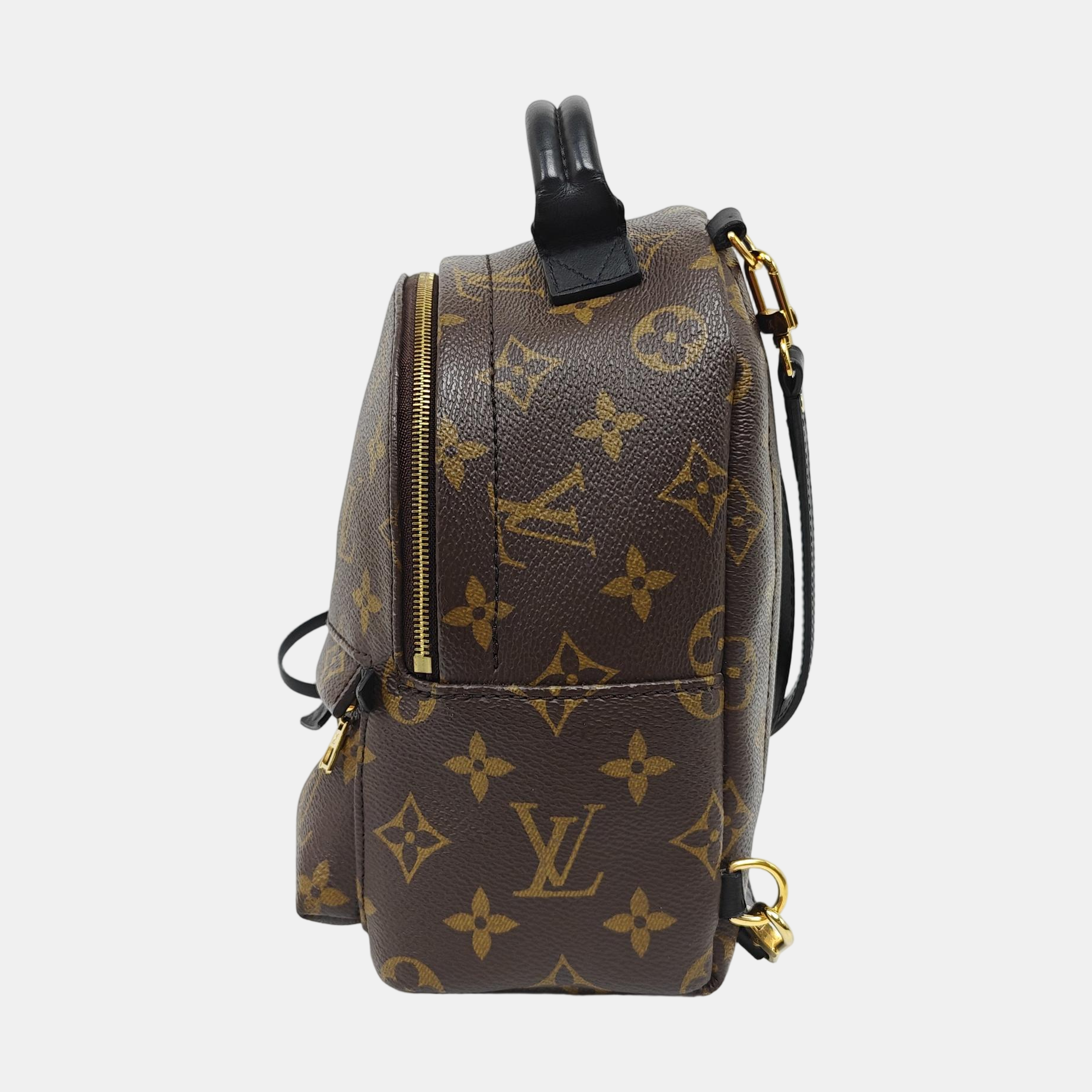 PALM SPRINGS Mini Monogram Coated Canvas Brown