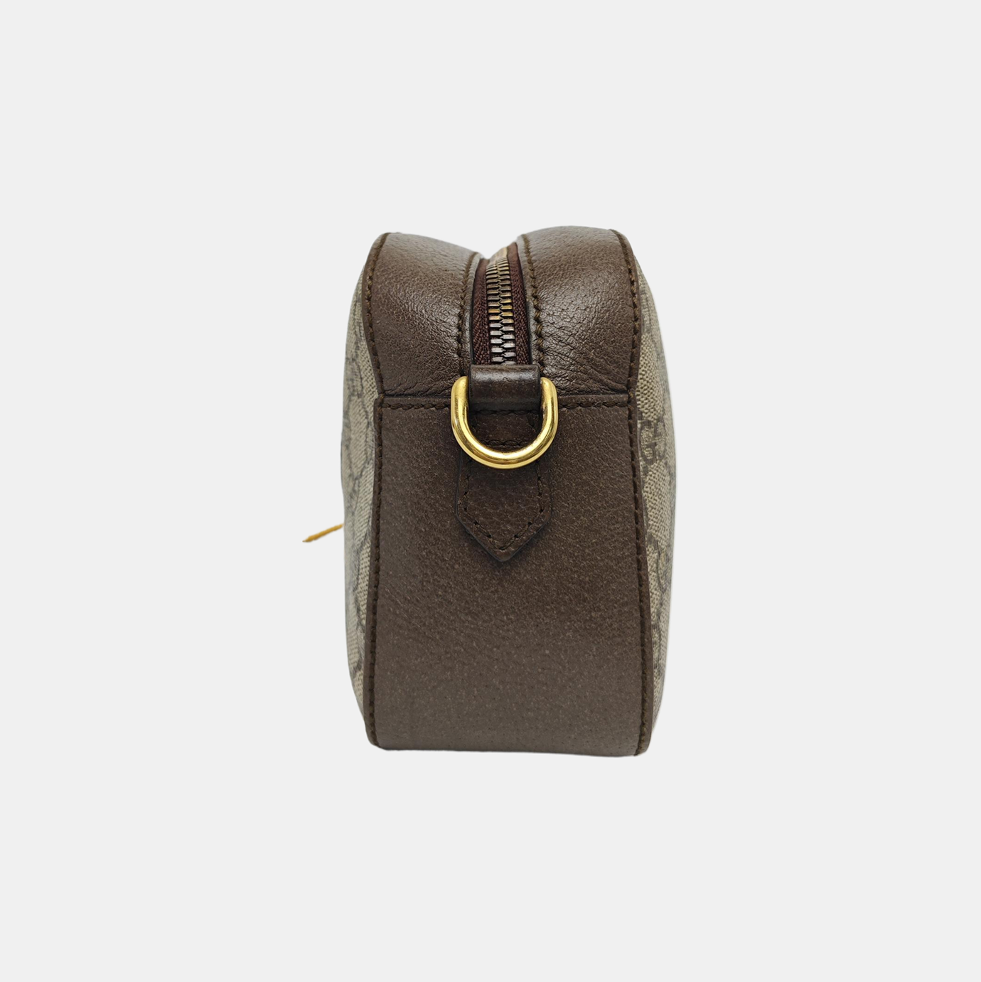 Neo Vintage Monogram Coated Canvas Beige