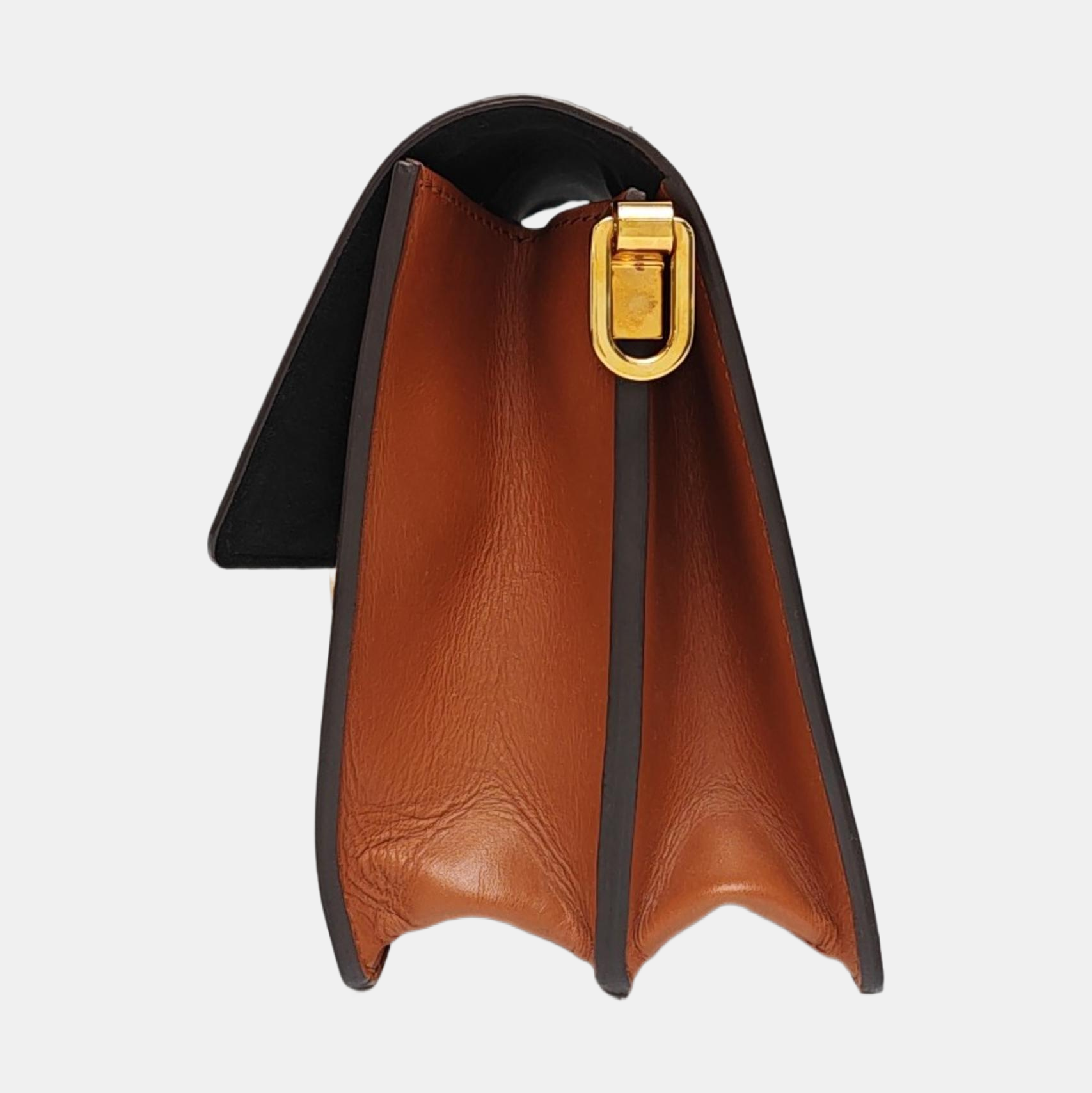 DAUPHINE MM Monogram Coated Canvas Brown