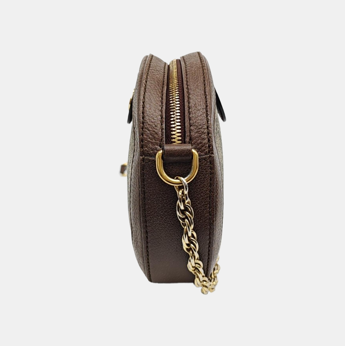 Ophidia Mini Monogram Coated Canvas Beige