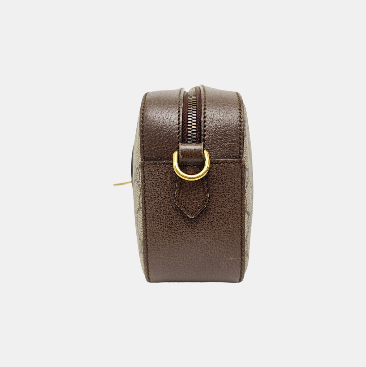Neo Vintage Monogram Coated Canvas Beige