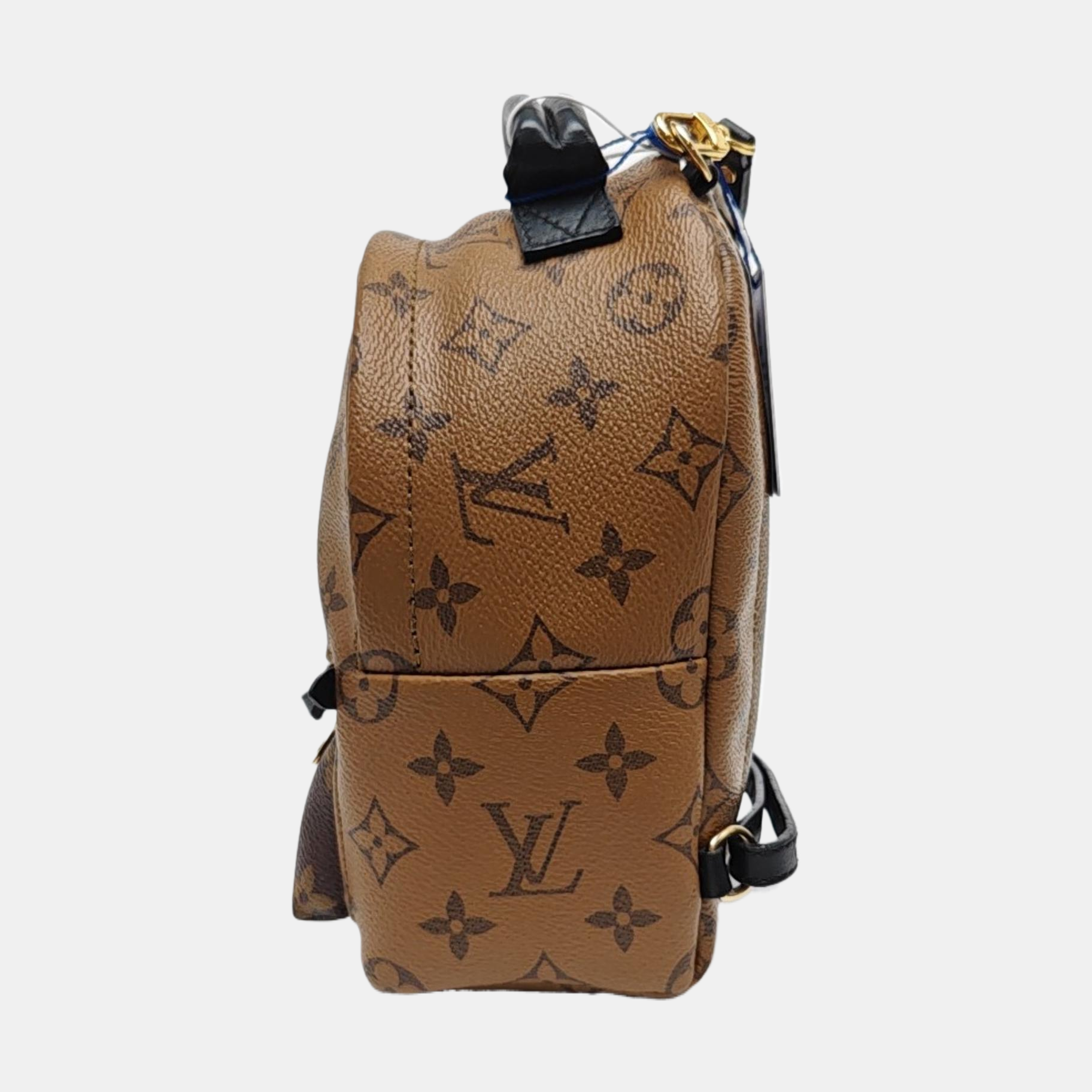 PALM SPRINGS Mini Monogram Coated Canvas Brown