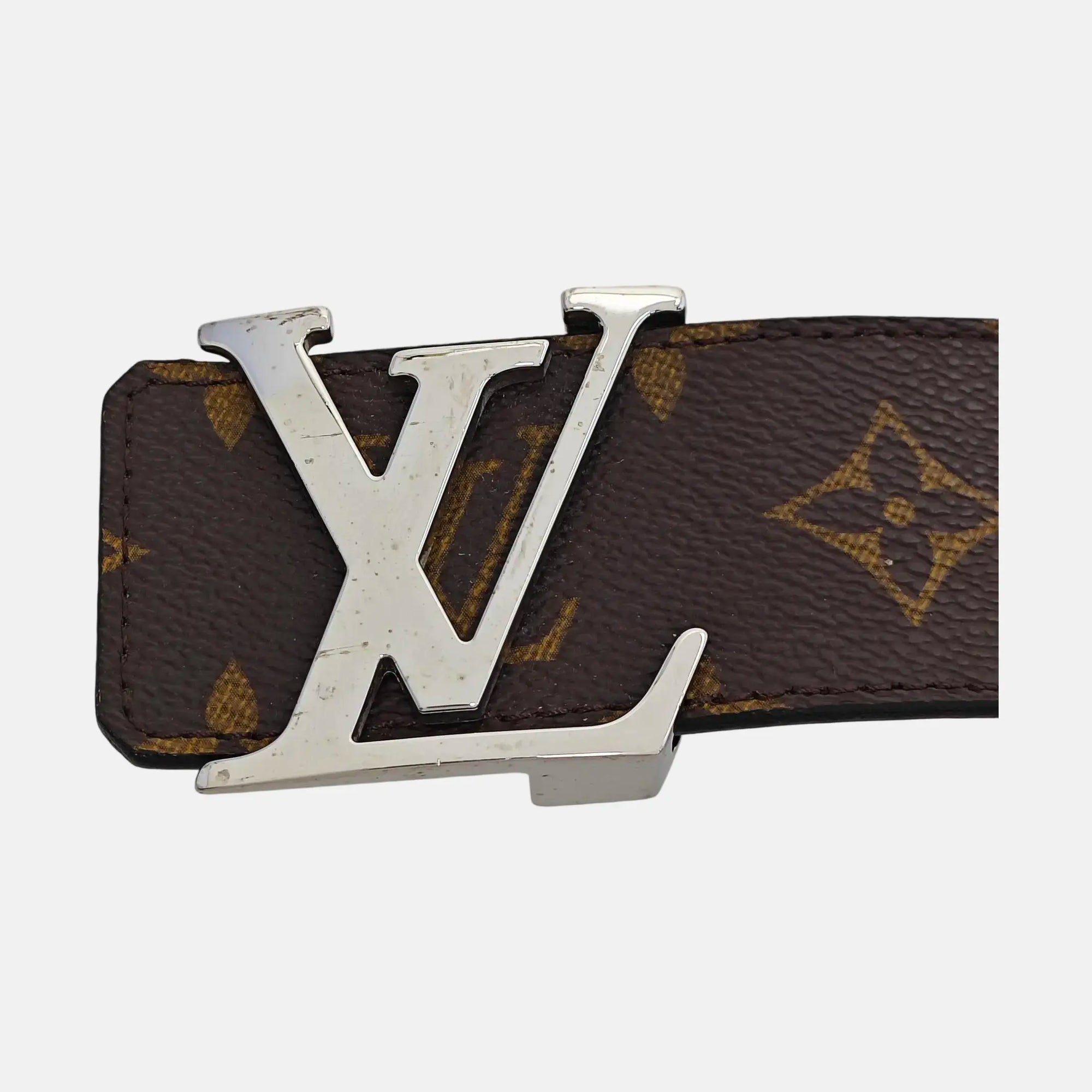 Coated Canvas Belt Brown