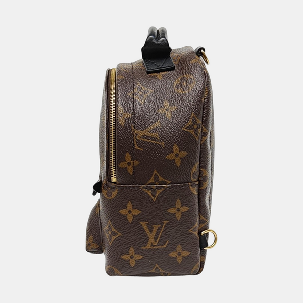 PALM SPRINGS Mini Monogram Coated Canvas Brown