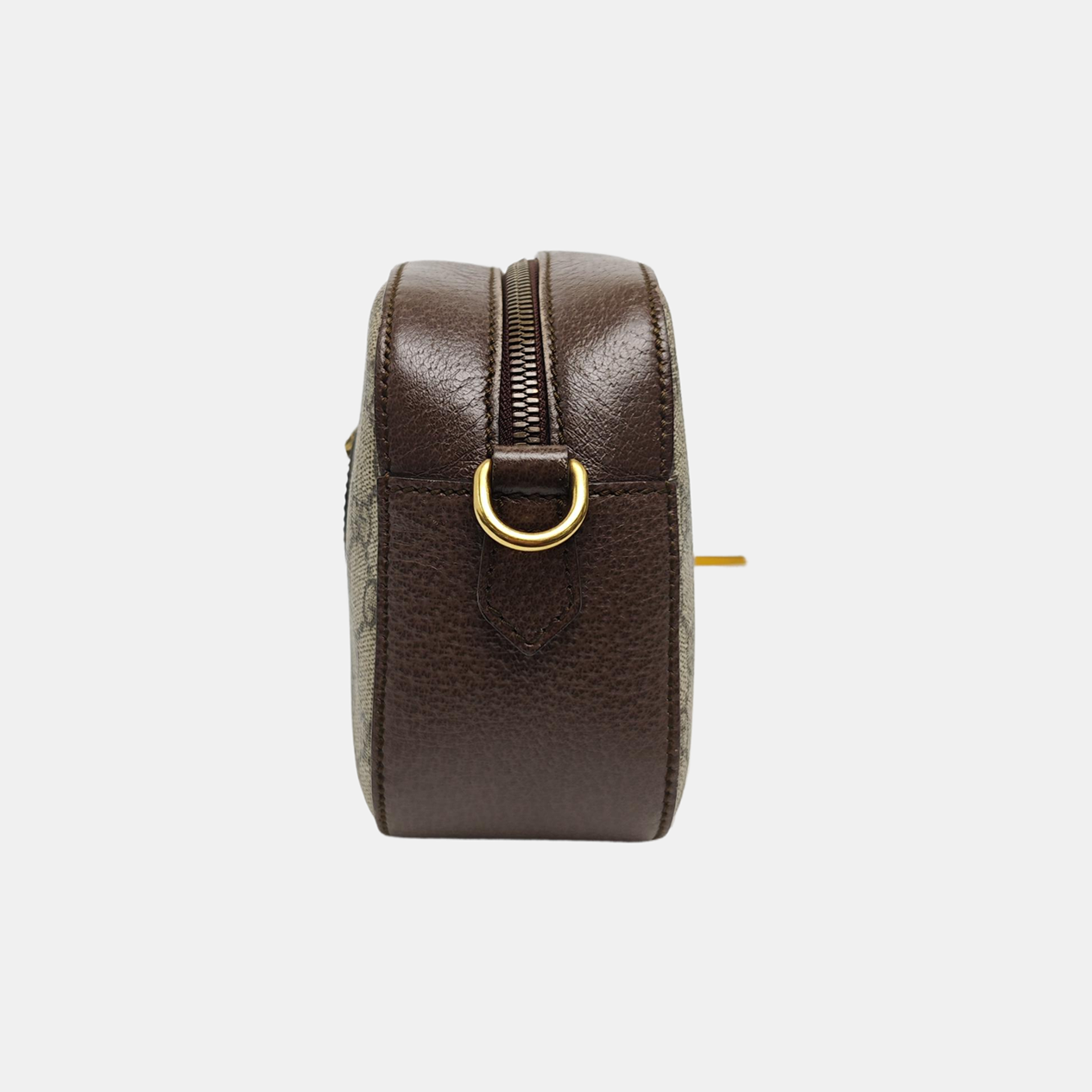 Neo Vintage Monogram Coated Canvas Beige