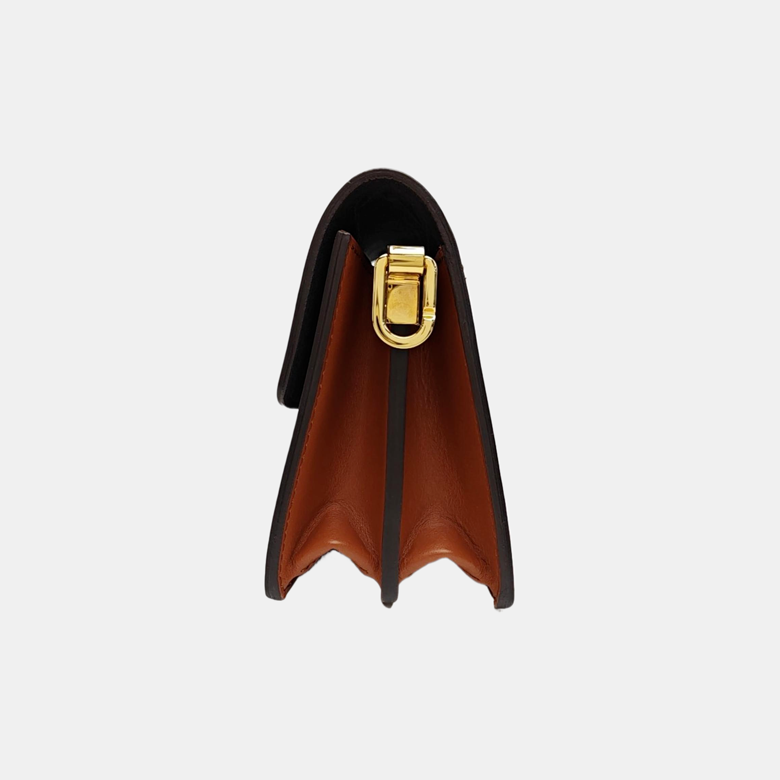DAUPHINE Mini Coated Canvas Brown