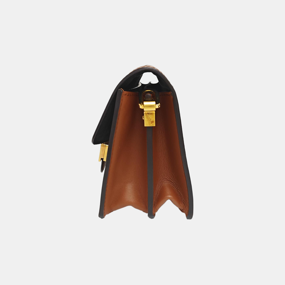 DAUPHINE Mini Monogram Coated Canvas Brown