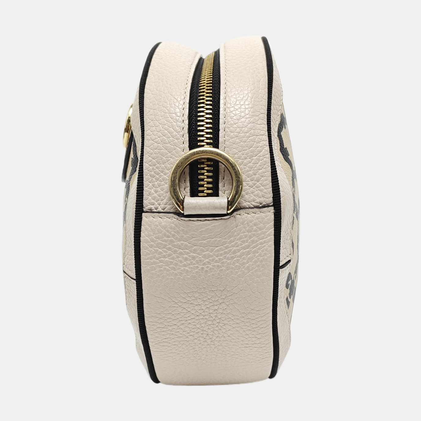 Gancini Calfskin Multicolor