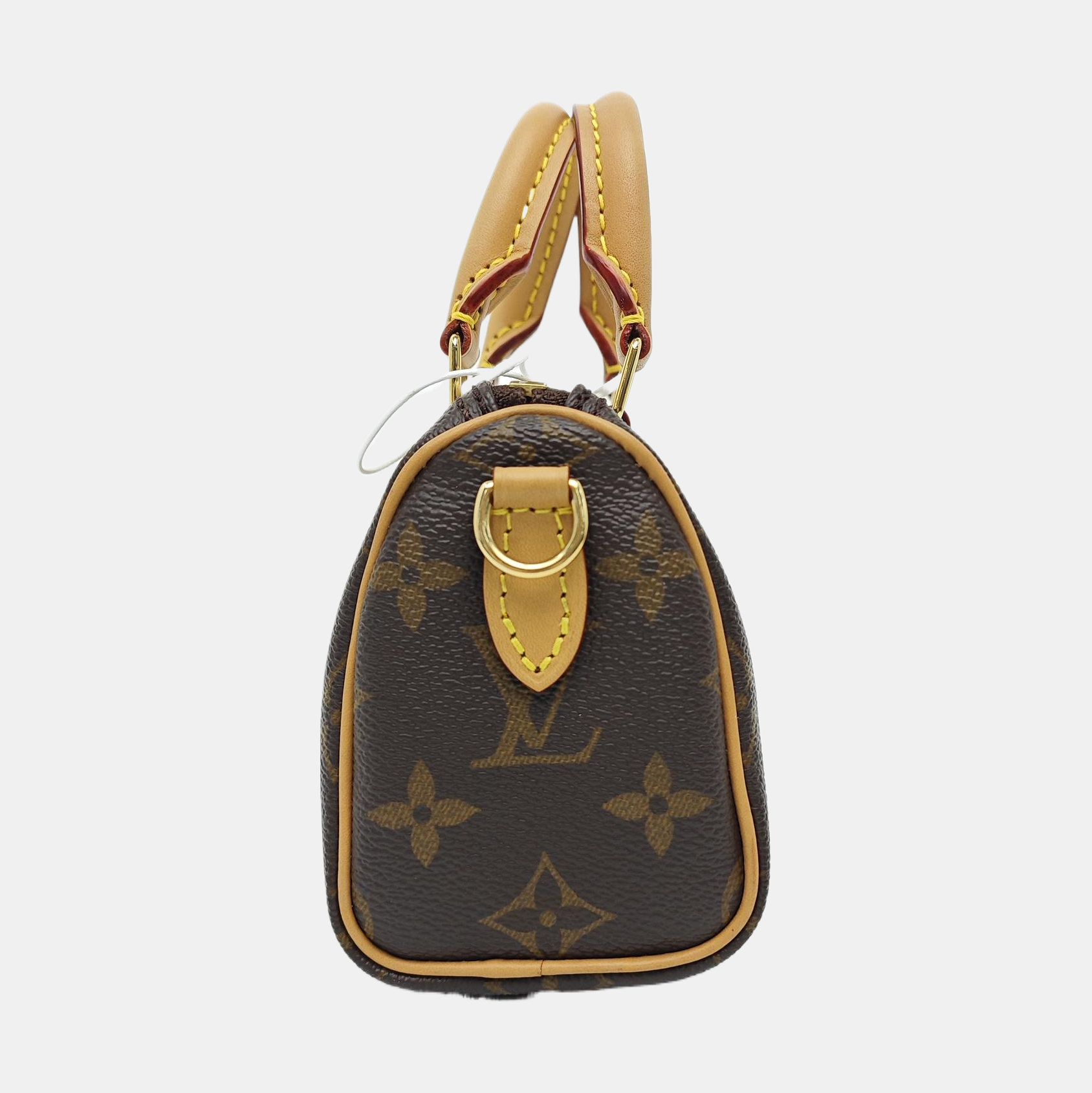 SPEEDY Nano Monogram Coated Canvas Brown