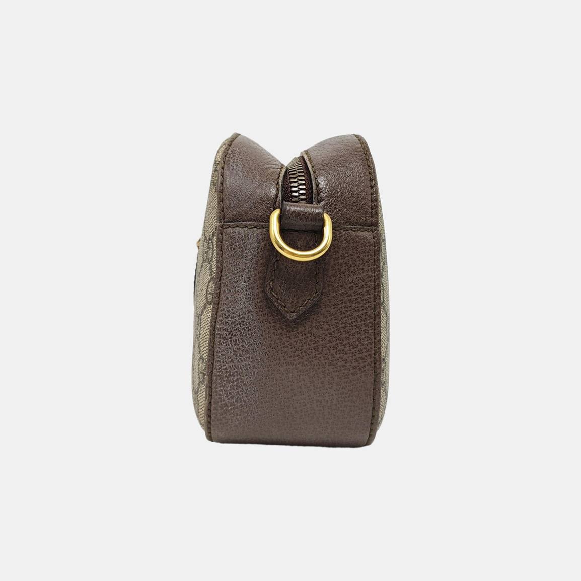 Neo Vintage Monogram Coated Canvas Beige