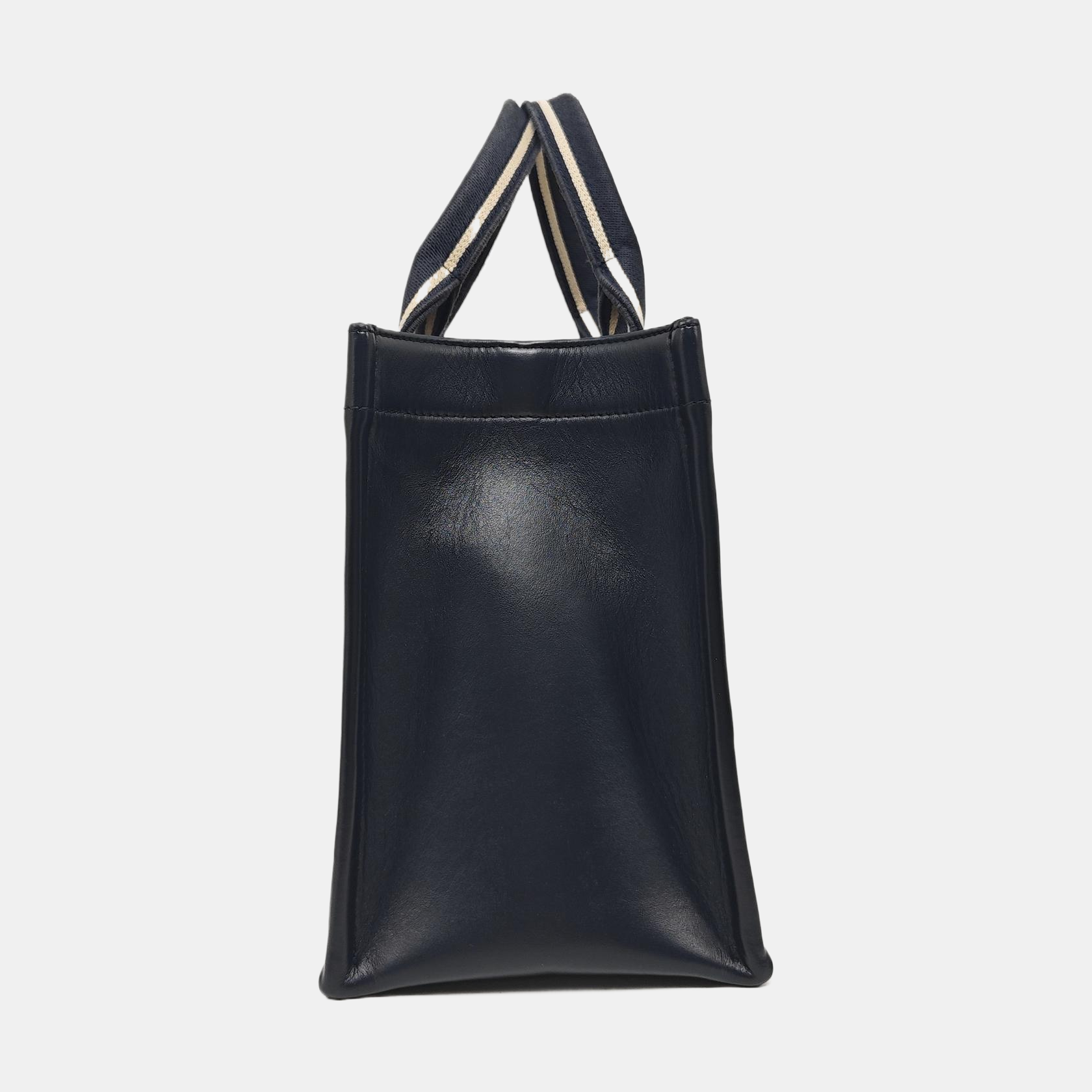 Book Tote Small Oblique Canvas Blue