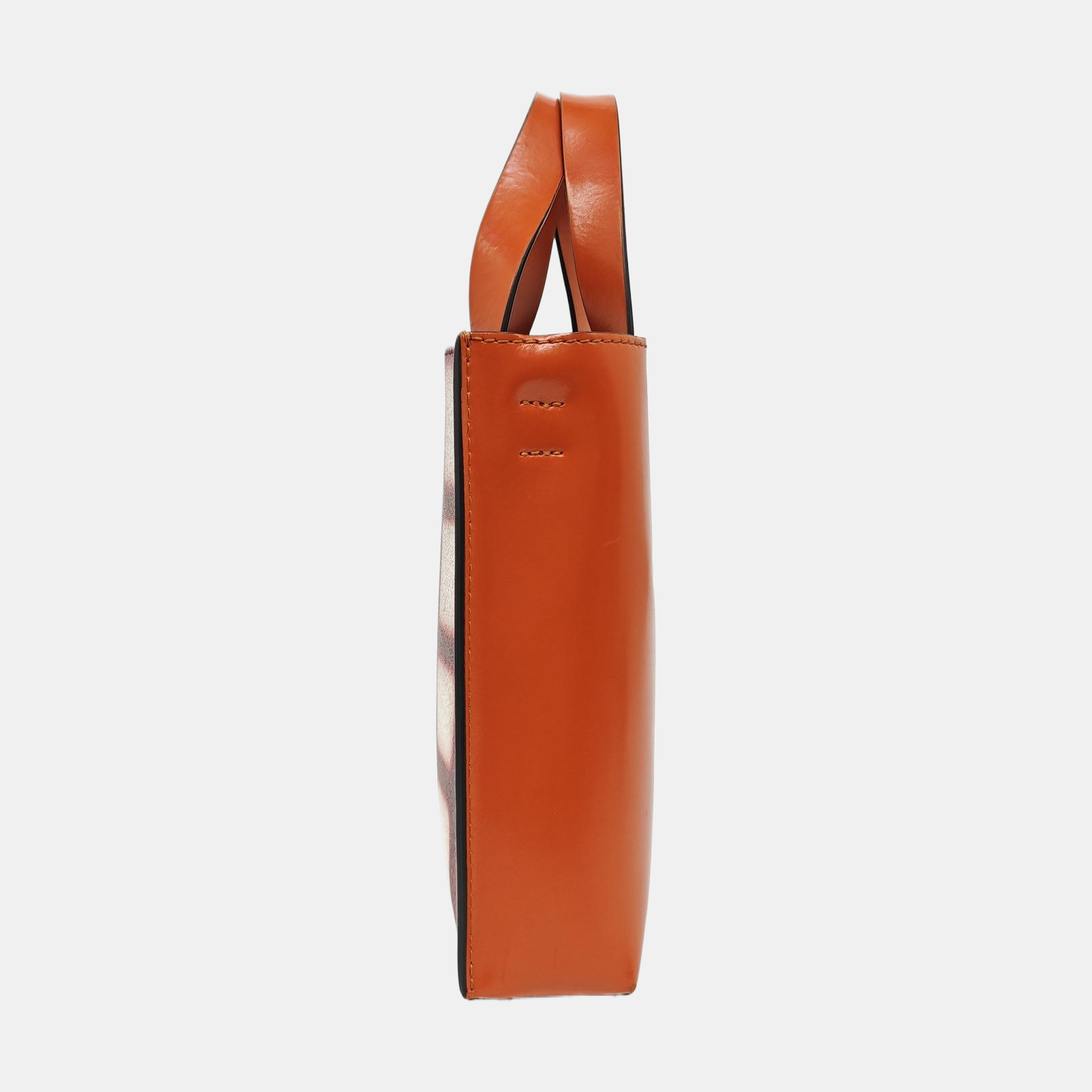 Coated Canvas Shoulder Bag Multicolor