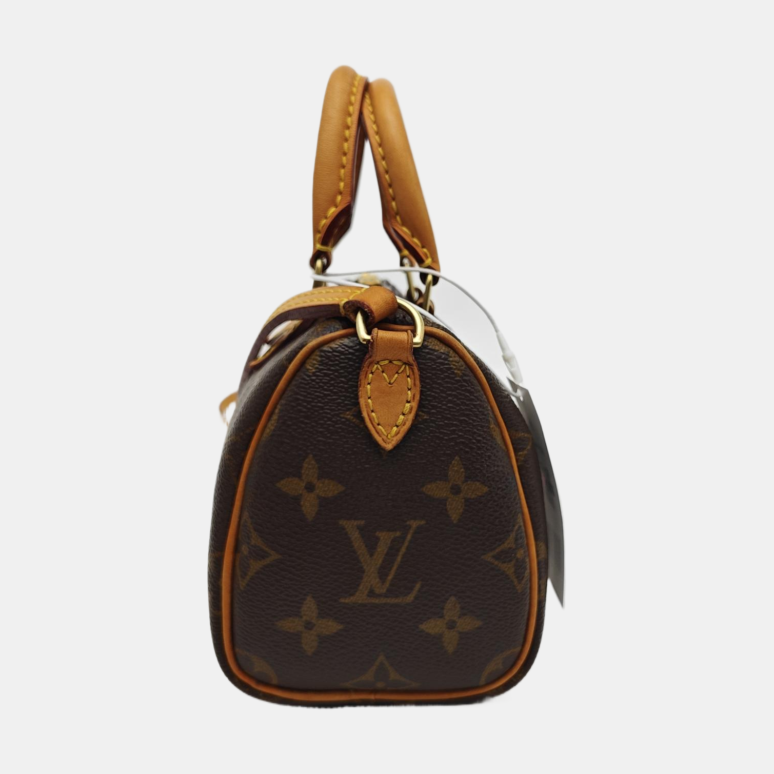 SPEEDY Nano Monogram Coated Canvas Brown