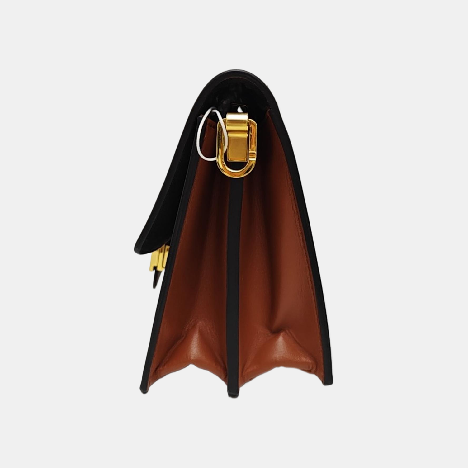 DAUPHINE MM Monogram Coated Canvas Brown