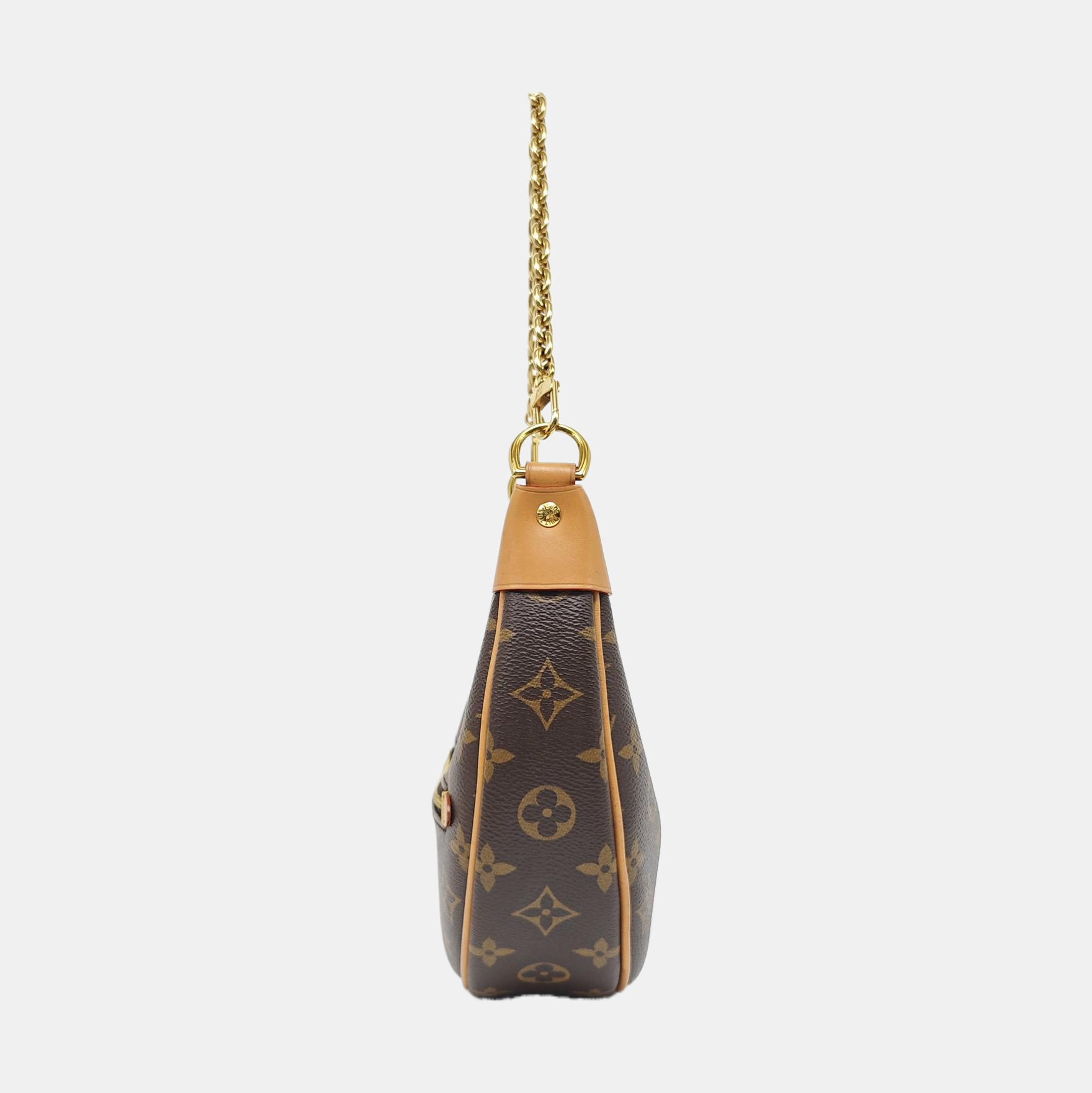 LOOP Monogram Coated Canvas Brown