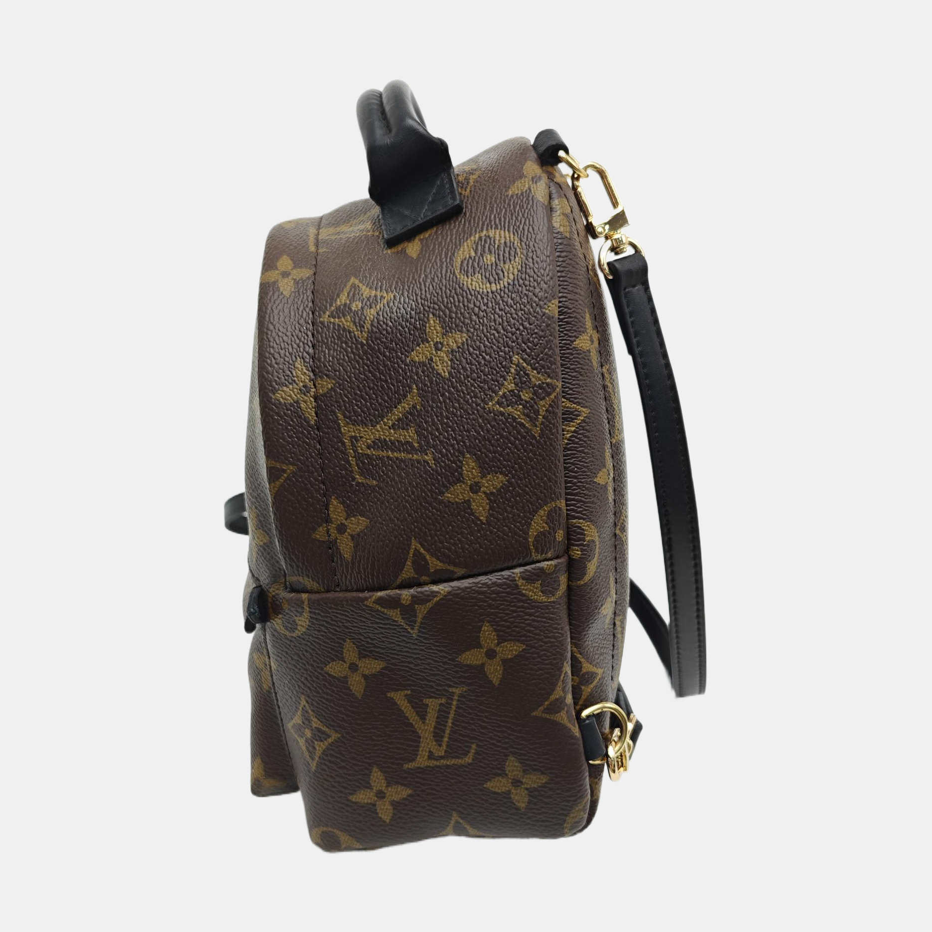 PALM SPRINGS Mini Monogram Coated Canvas Brown