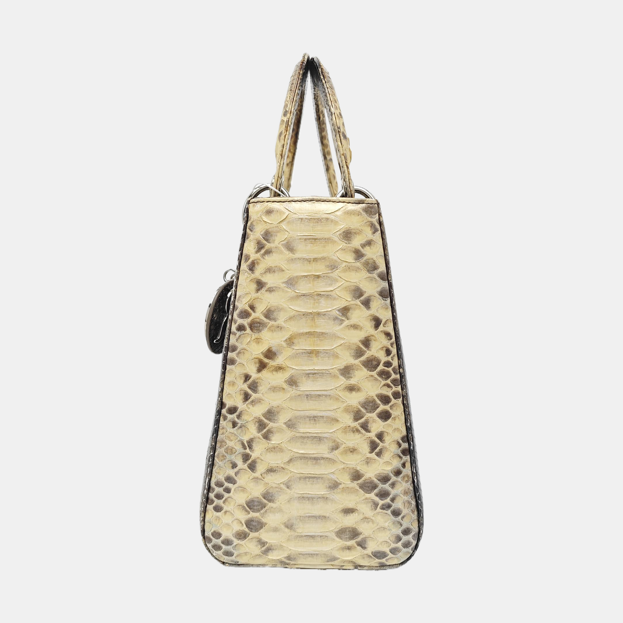 Lady Dior Medium Python Brown