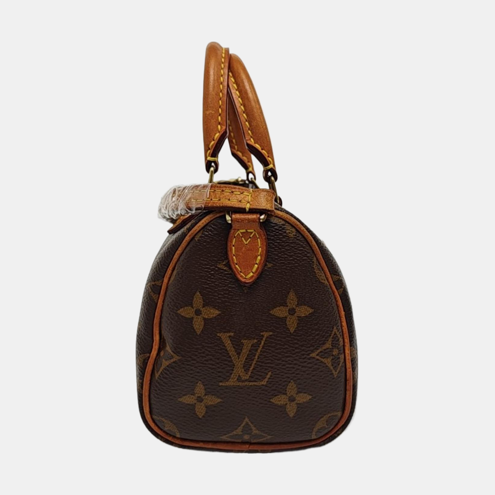SPEEDY Nano Monogram Coated Canvas Brown