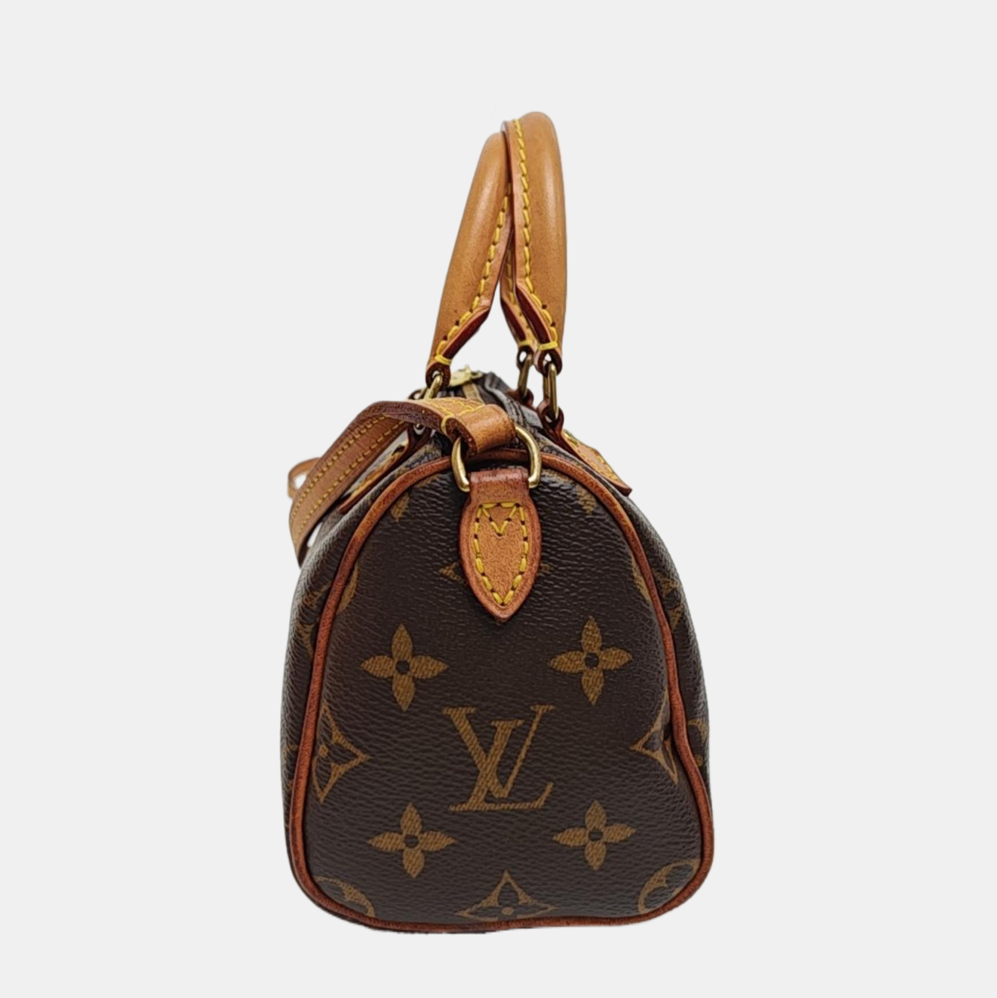 SPEEDY Nano Monogram Coated Canvas Brown