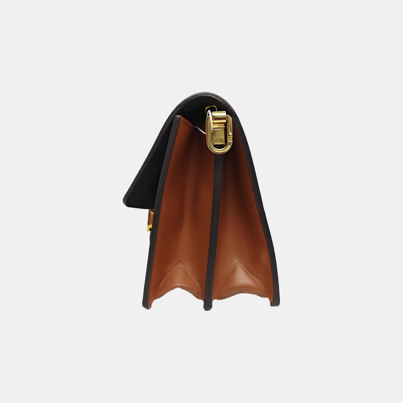 DAUPHINE MM Monogram Coated Canvas Brown