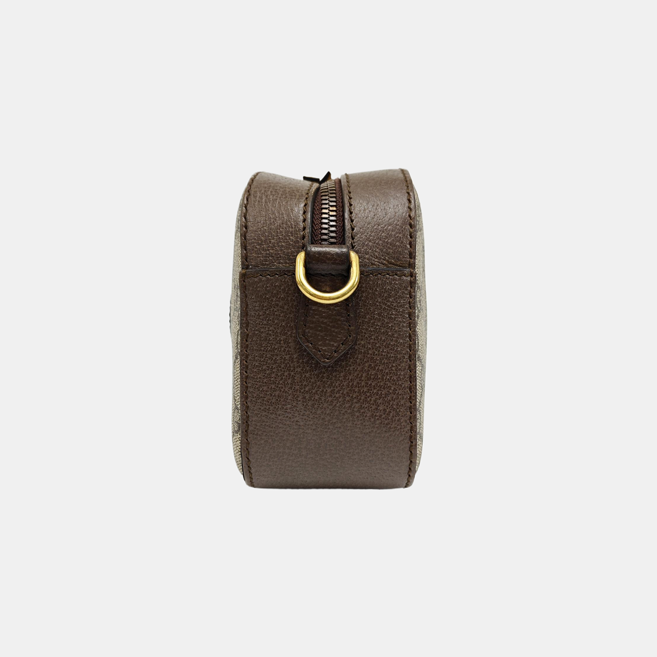 Neo Vintage Monogram Coated Canvas Beige