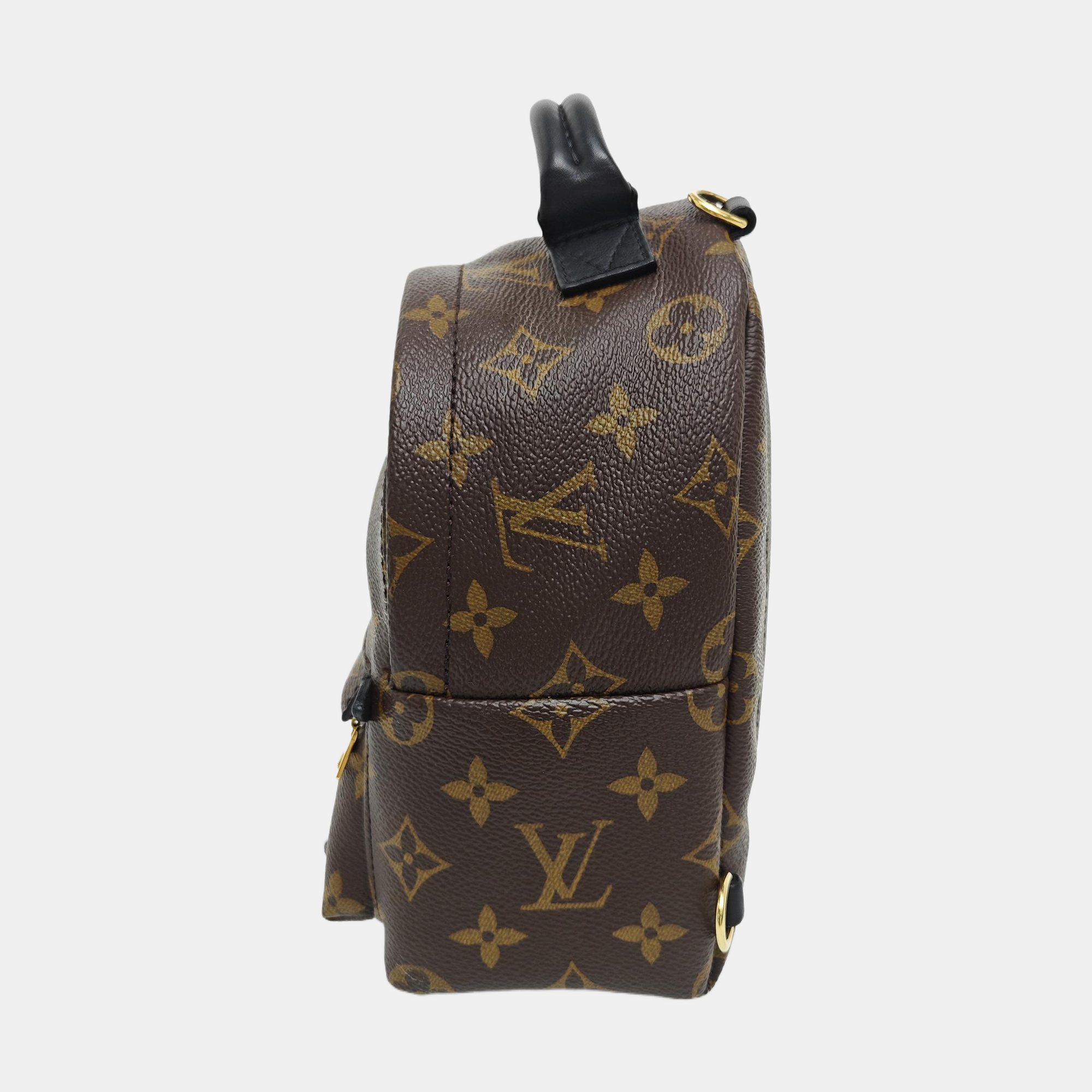 PALM SPRINGS Mini Monogram Coated Canvas Brown