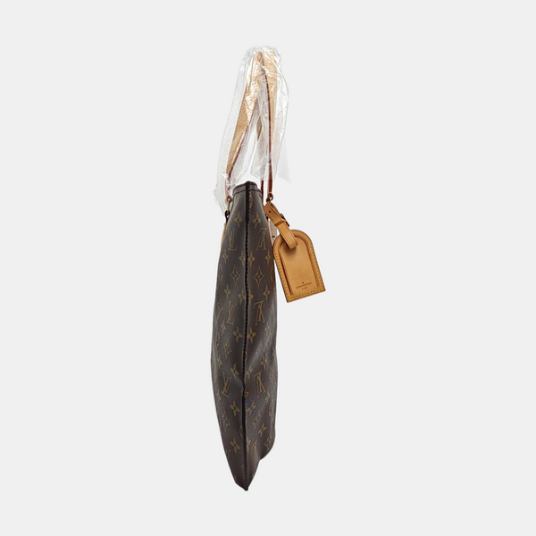 ALL-IN PM Monogram Coated Canvas Brown