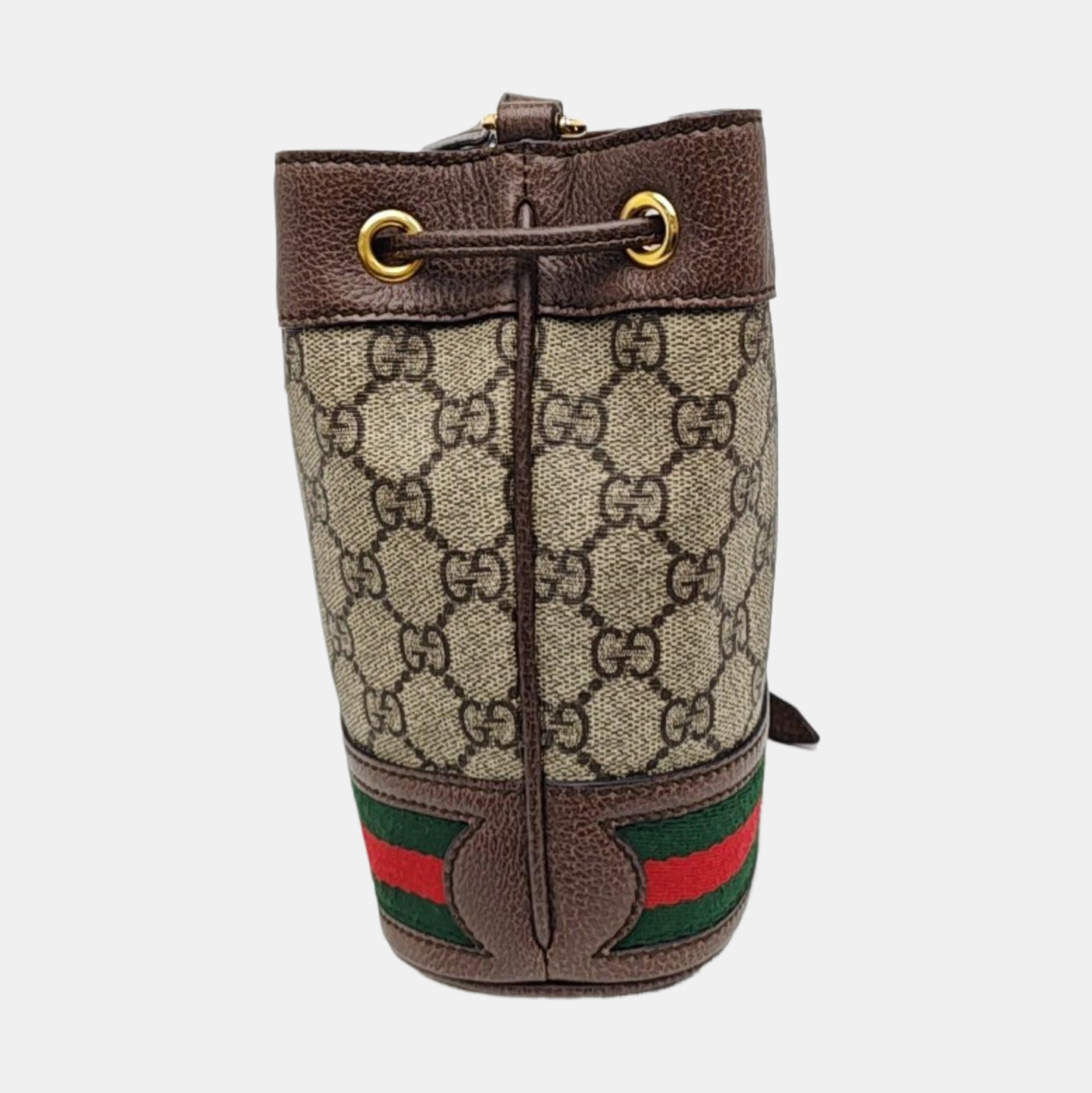 Ophidia Mini Monogram Coated Canvas Beige