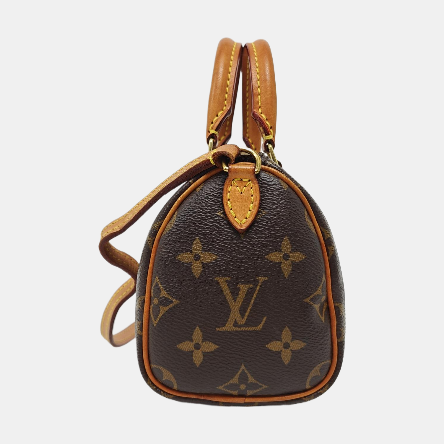 SPEEDY Nano Monogram Coated Canvas Brown
