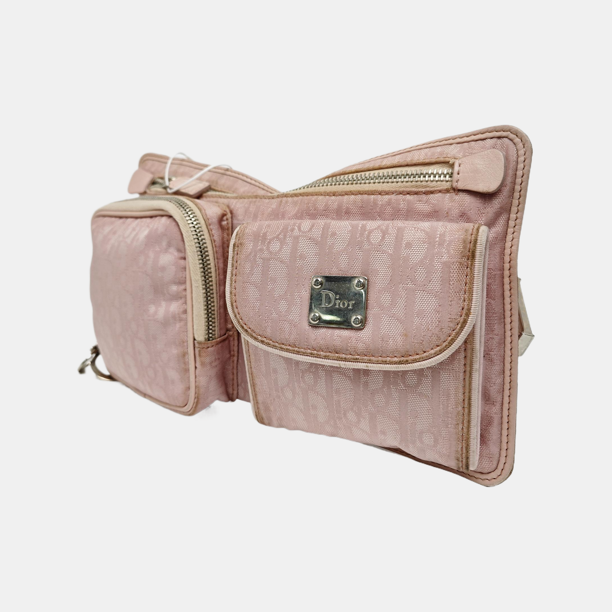 Oblique Canvas Belt Bag Pink