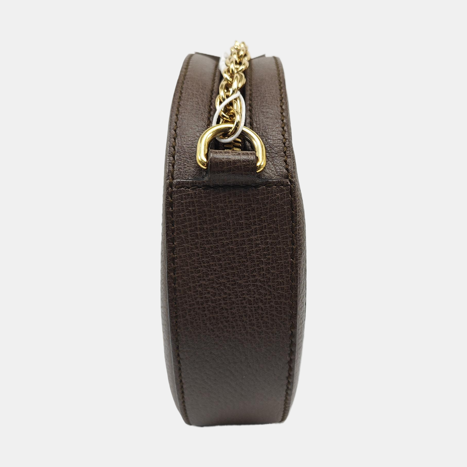 Ophidia Mini Monogram Coated Canvas Beige