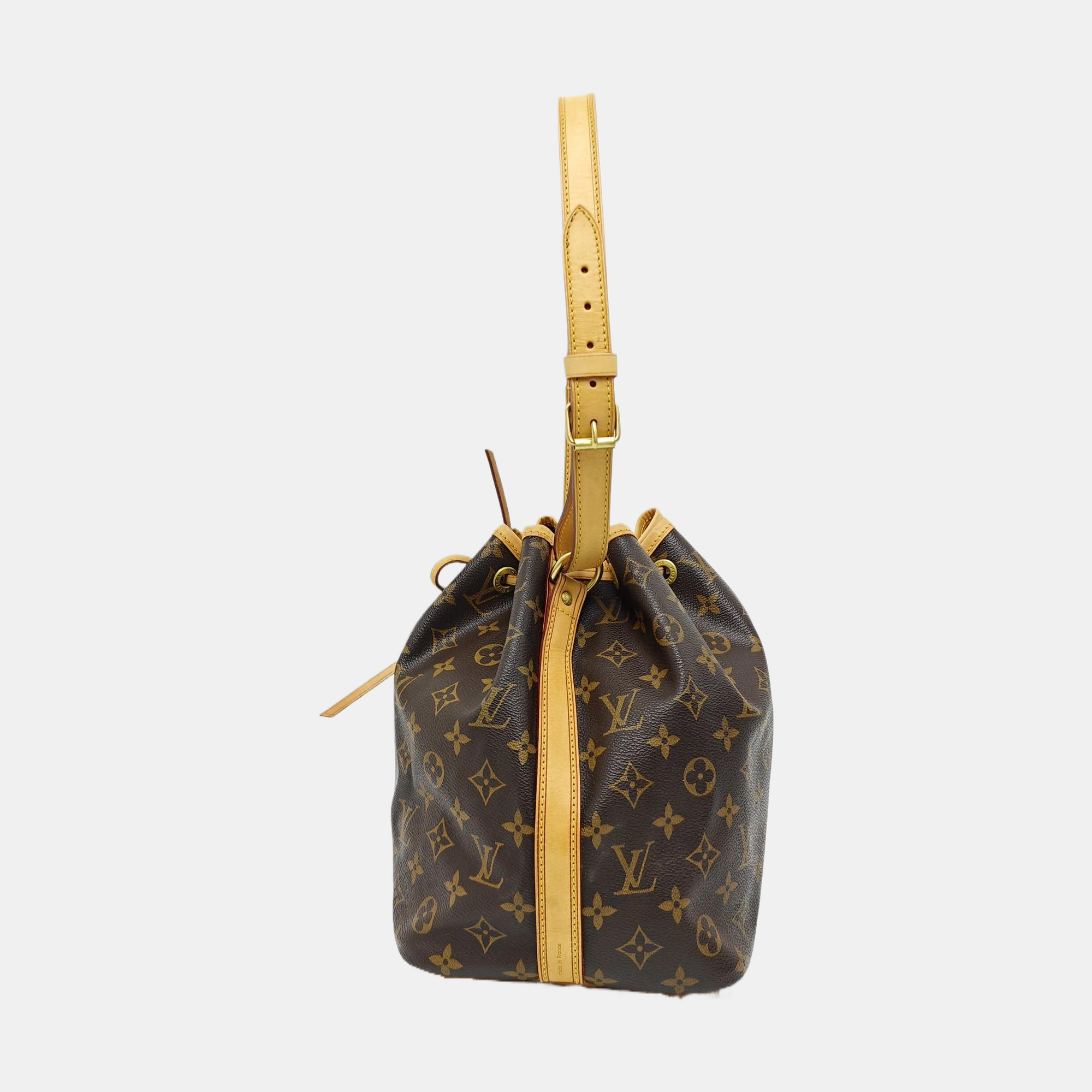 NÉONOÉ PM Monogram Coated Canvas Brown