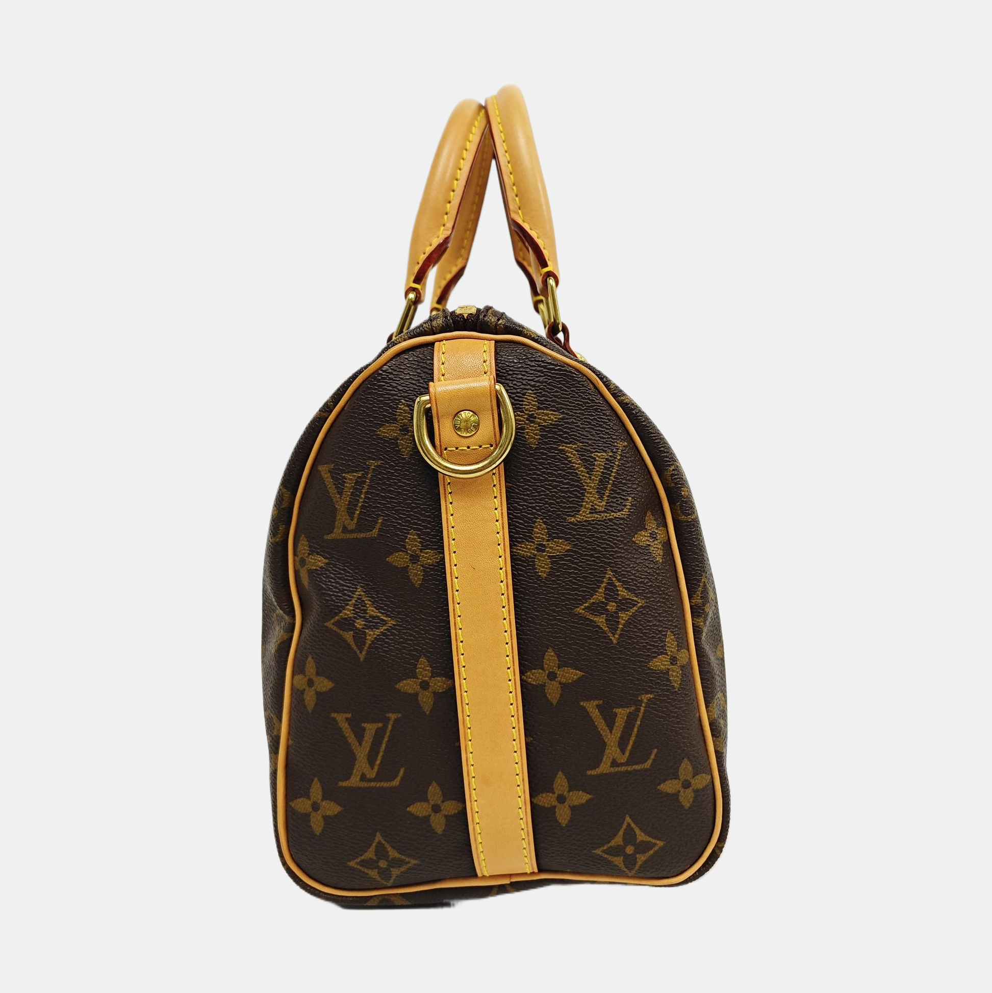 SPEEDY 25 Monogram Coated Canvas Brown
