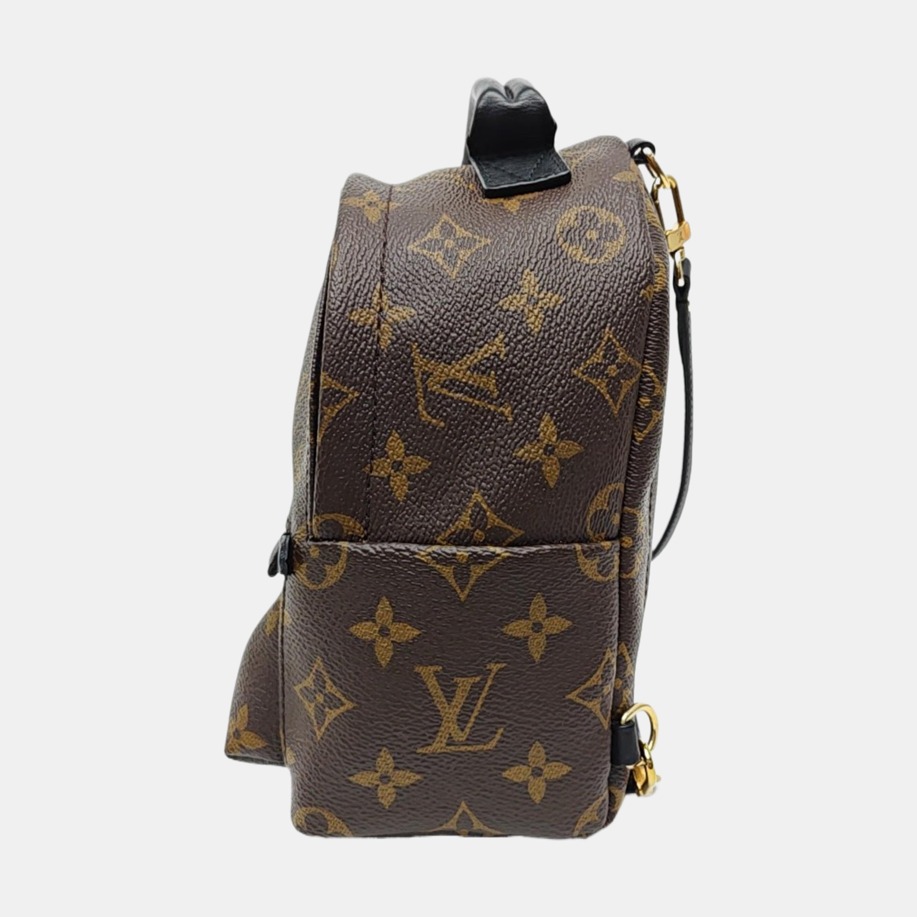 PALM SPRINGS Mini Monogram Coated Canvas Brown