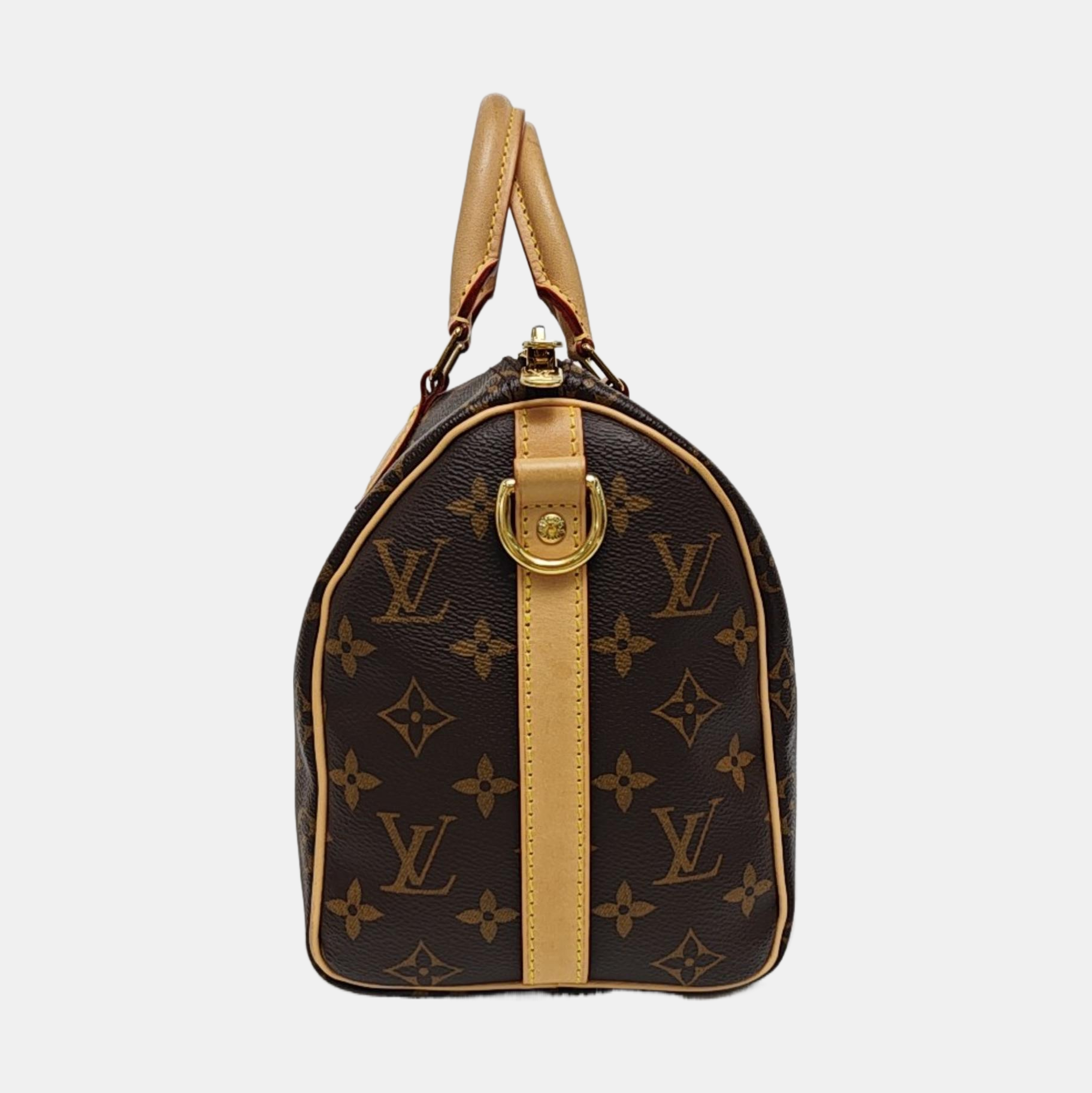 SPEEDY 25 Monogram Coated Canvas Brown