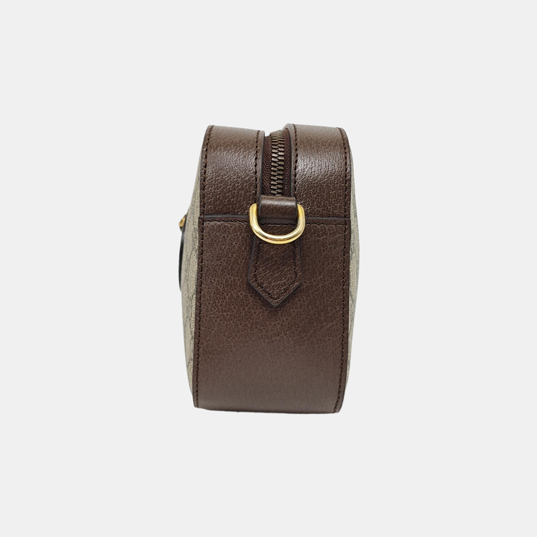 Neo Vintage Monogram Coated Canvas Beige