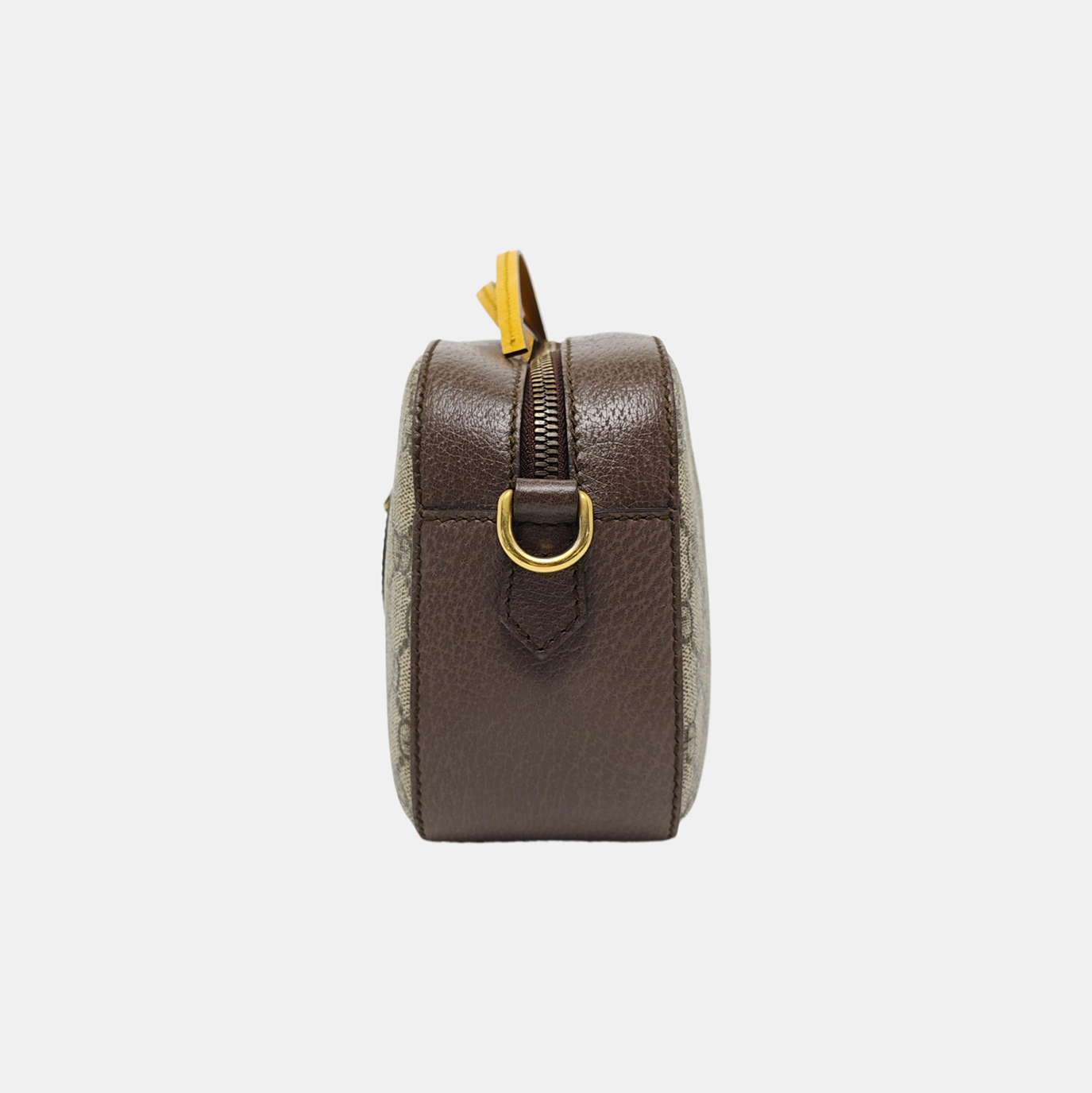 Neo Vintage Monogram Coated Canvas Beige