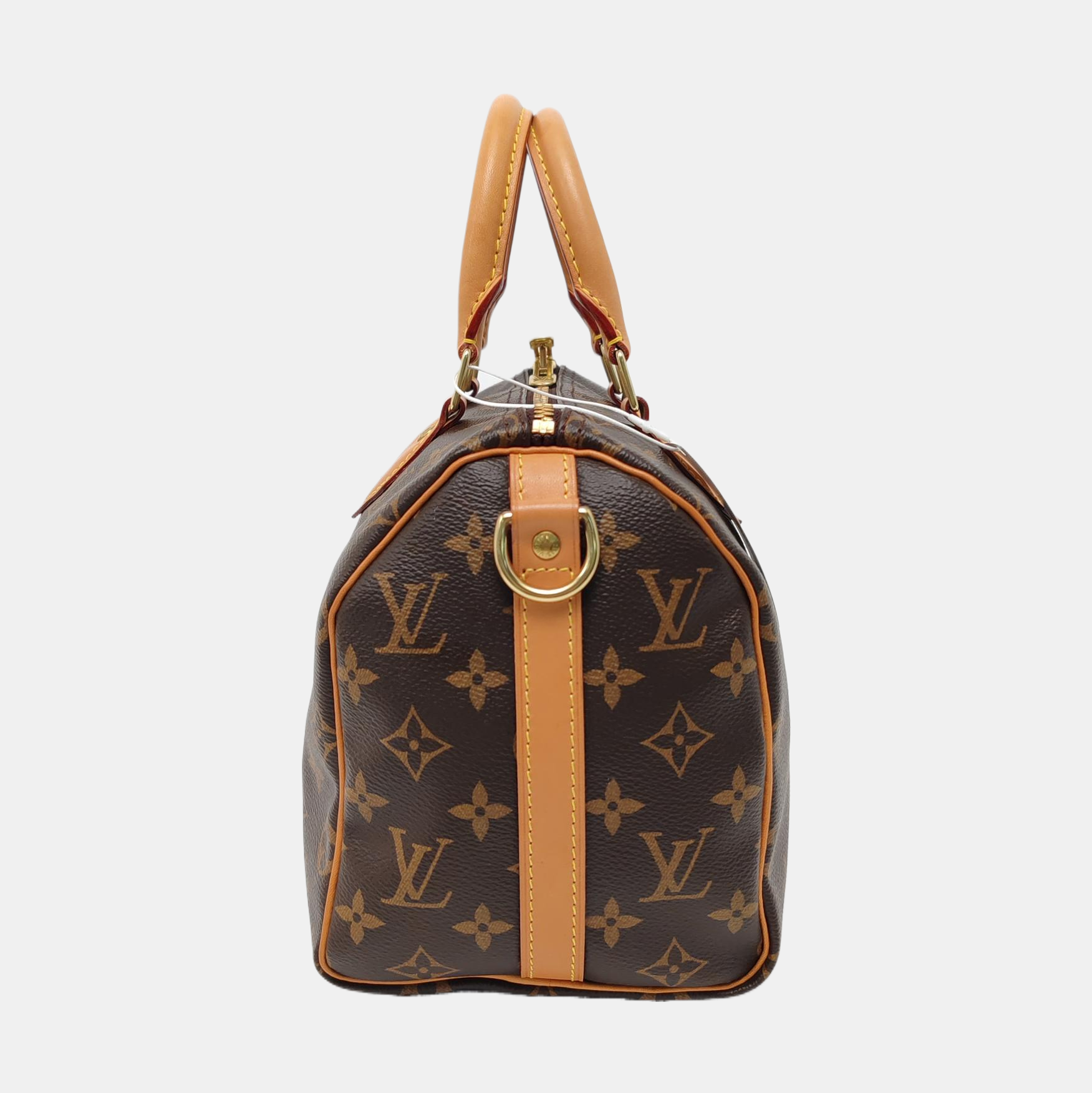 Speedy 25 Lona revestida Monogram marrón